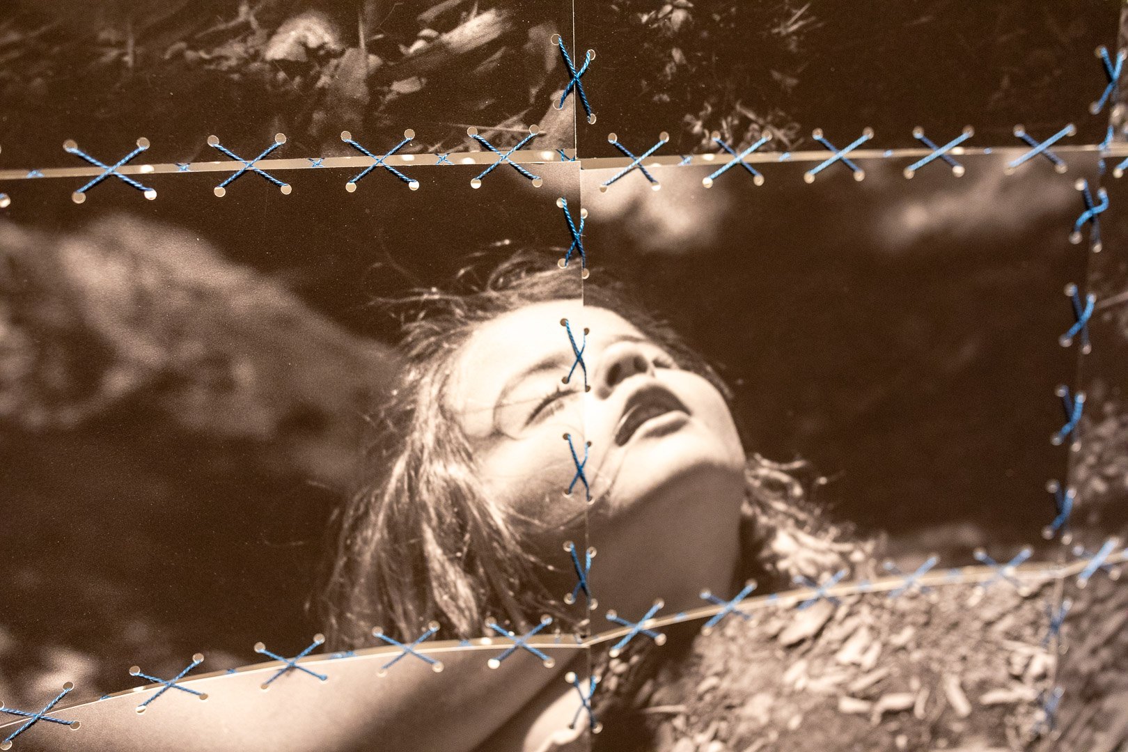  On the Log, 2026 (Detail View)  Photography by Laura Serdiuk, Women in the Arts, Inc. 