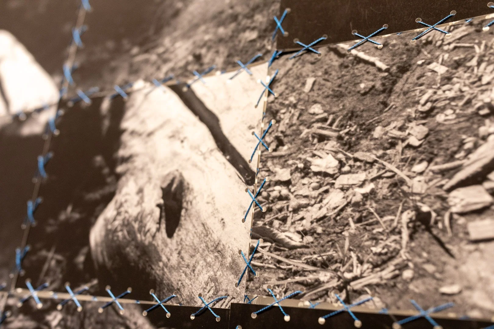  On the Log, 2026 (Detail View)  Photography by Laura Serdiuk, Women in the Arts, Inc. 