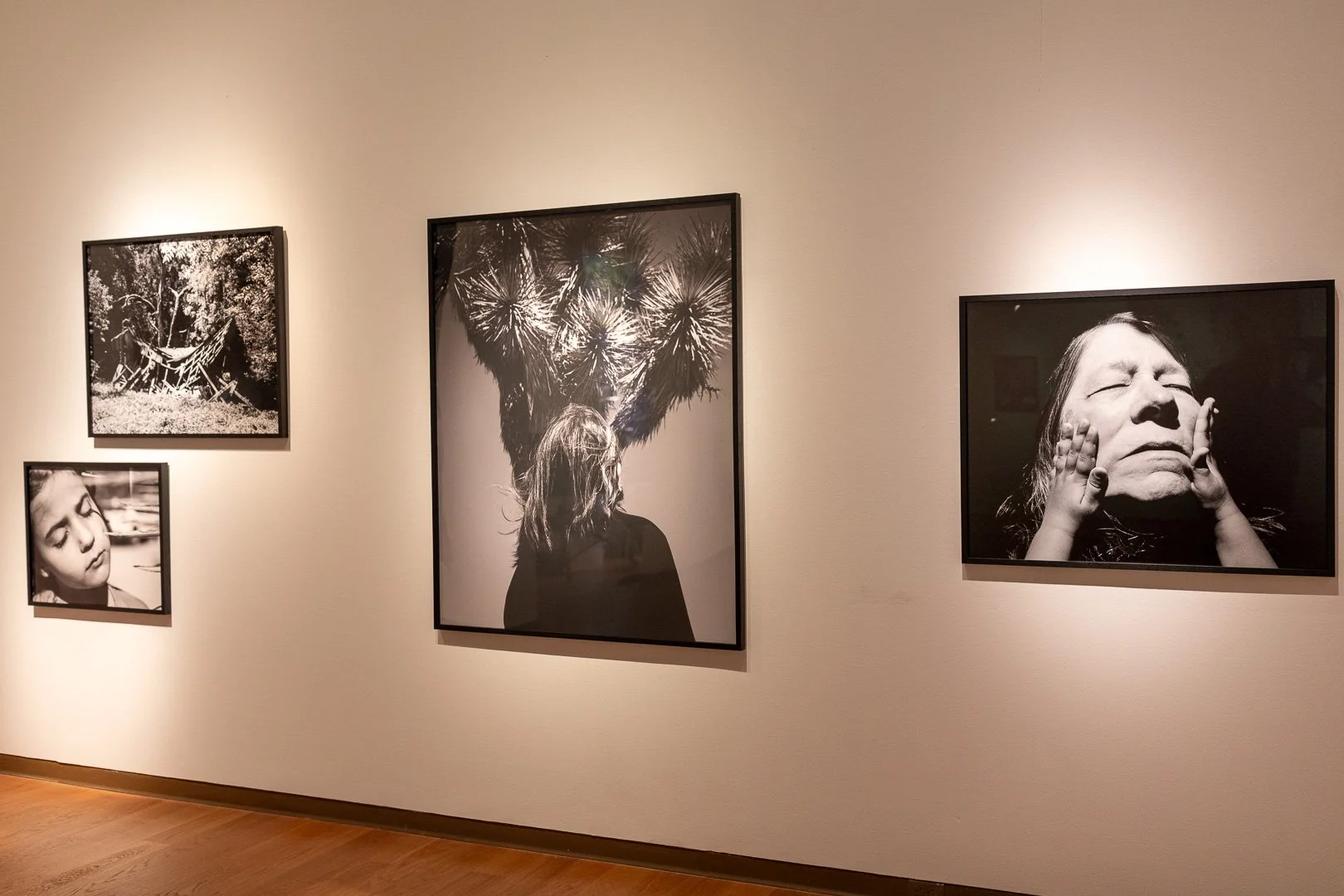  Installation View: 12th Annual Florida Prize in Contemporary Art: Rose Marie Cromwell, Orlando Museum of Art  Photography by Laura Serdiuk, Women in the Arts, Inc. 