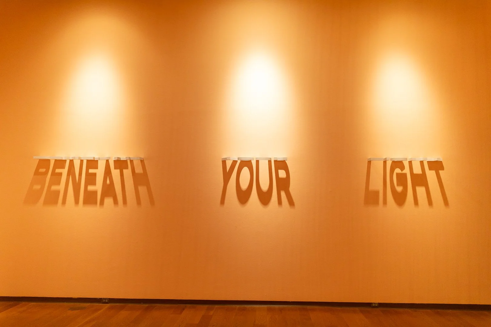  Jessy Nite  (b. Montclair, NJ, 1985)  BENEATH YOUR LIGHT, MY PARADISE  2021  Indoor shadow work with fixed lighting  Size varies  Courtesy of the Artist  Photography by Laura Serdiuk, Women in the Arts, Inc. 