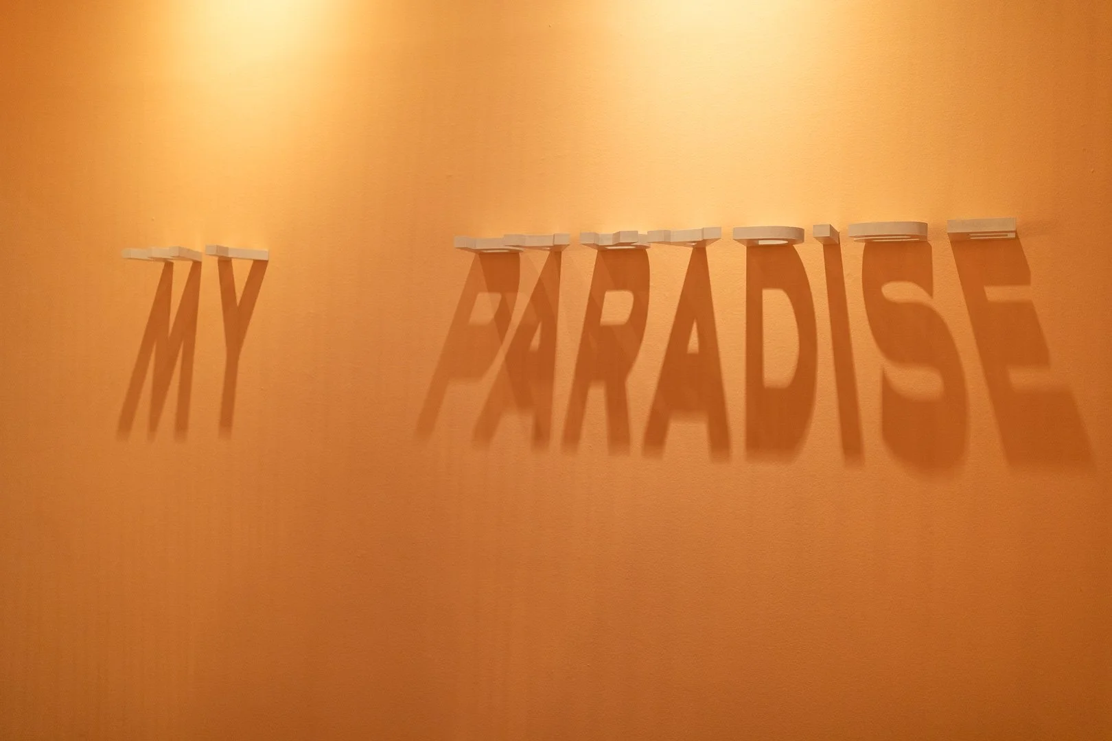  Jessy Nite  (b. Montclair, NJ, 1985)  BENEATH YOUR LIGHT, MY PARADISE  2021  Indoor shadow work with fixed lighting  Size varies  Courtesy of the Artist  Photography by Laura Serdiuk, Women in the Arts, Inc. 