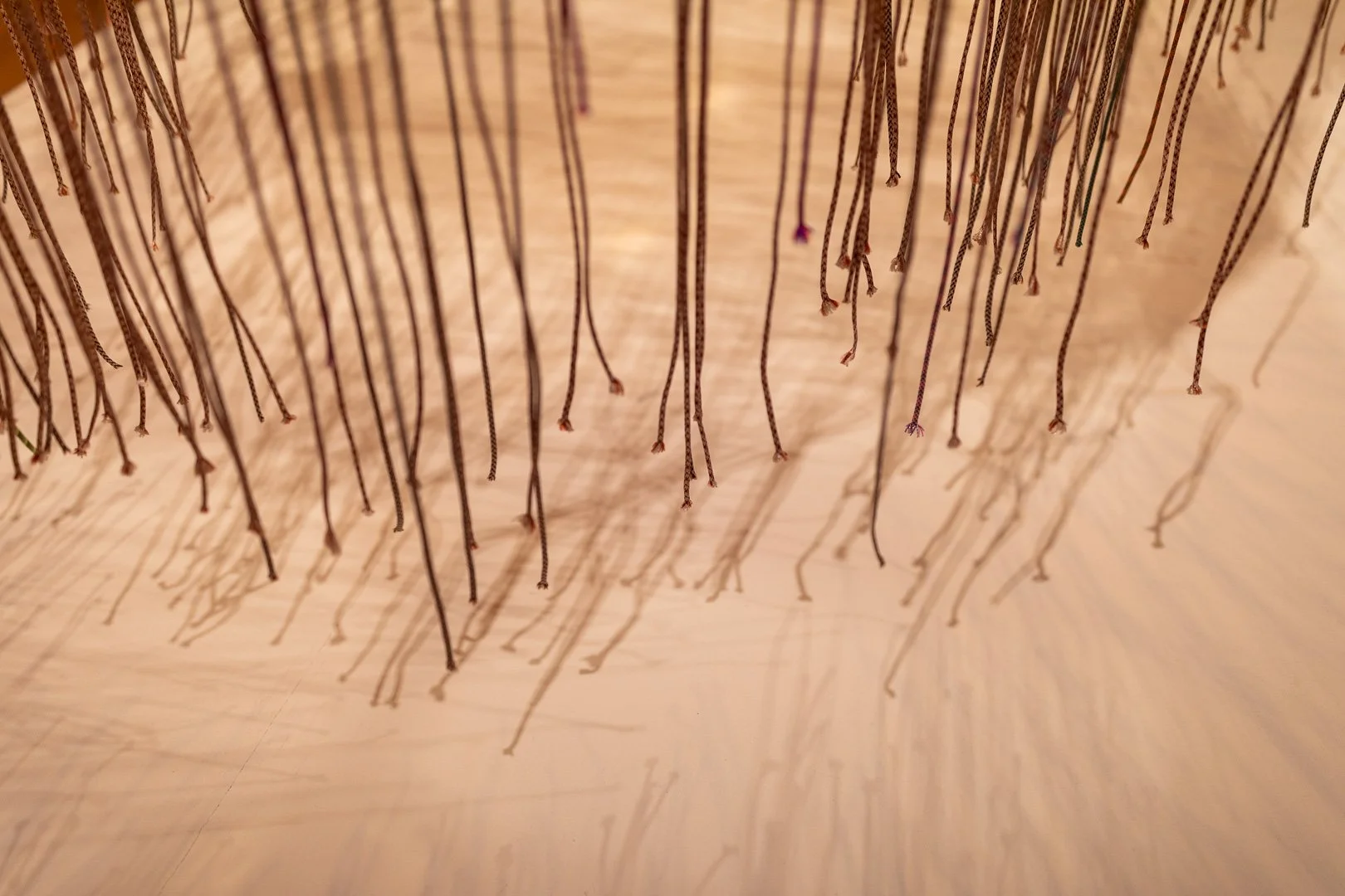  LANDS END, 2026 (Detail View)  Photography by Laura Serdiuk, Women in the Arts, Inc. 