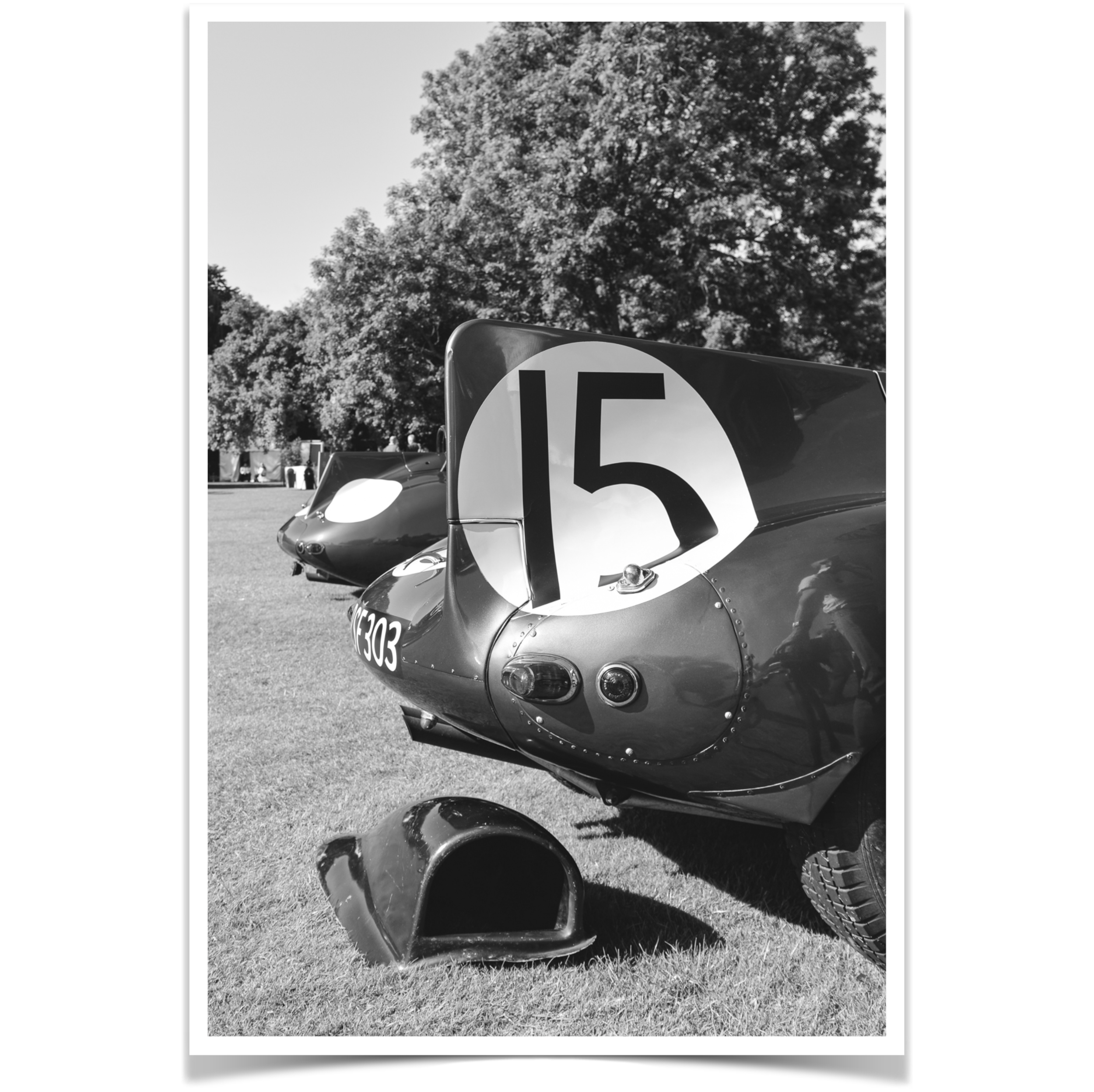 Wingtail 15