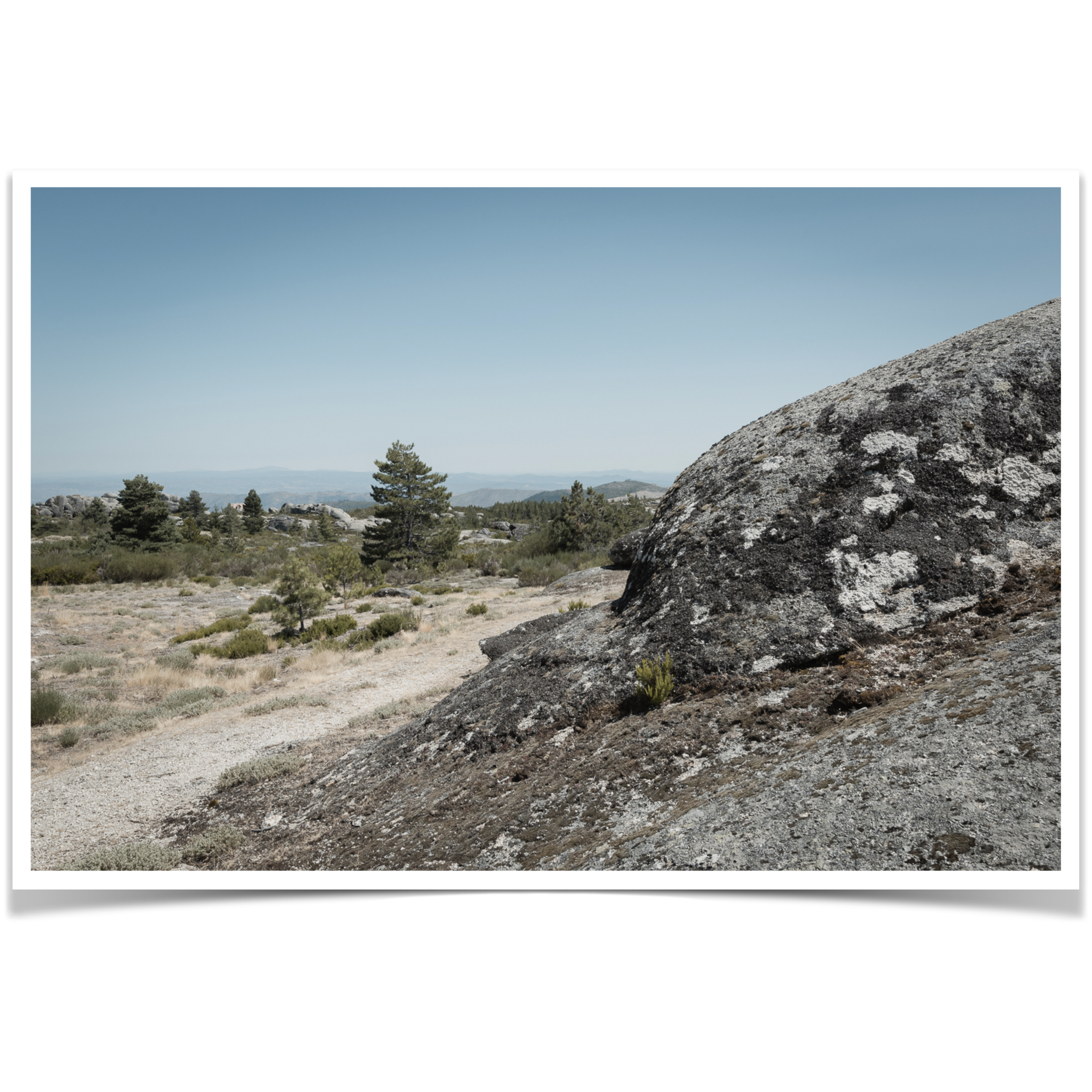 Serra da Estrela  •  Limited Edition