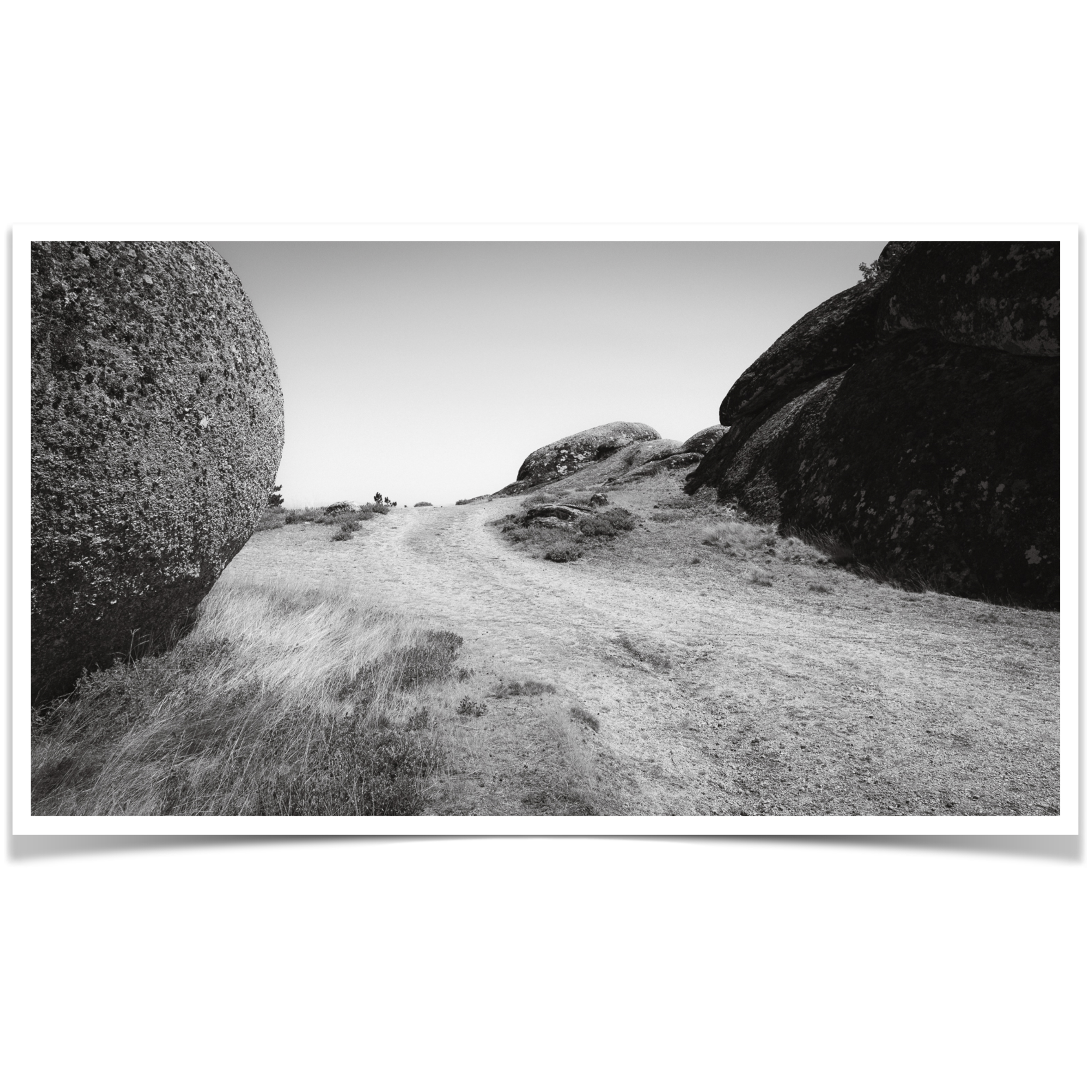 A Path  •  Limited Edition