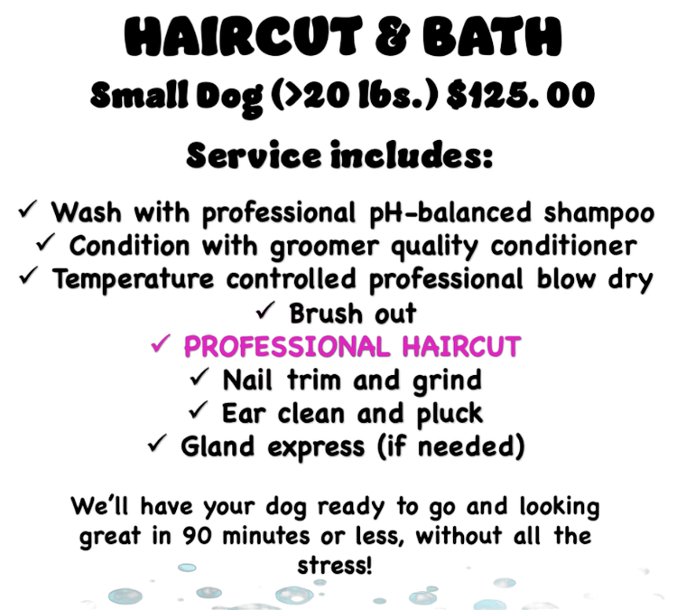 Dog Hair Don't Care Express Grooming Services