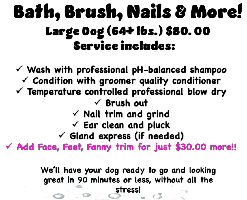 Dog Hair Don't Care Express Grooming Services