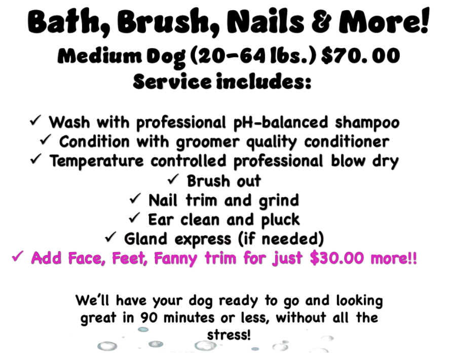 Dog Hair Don't Care Express Grooming Services