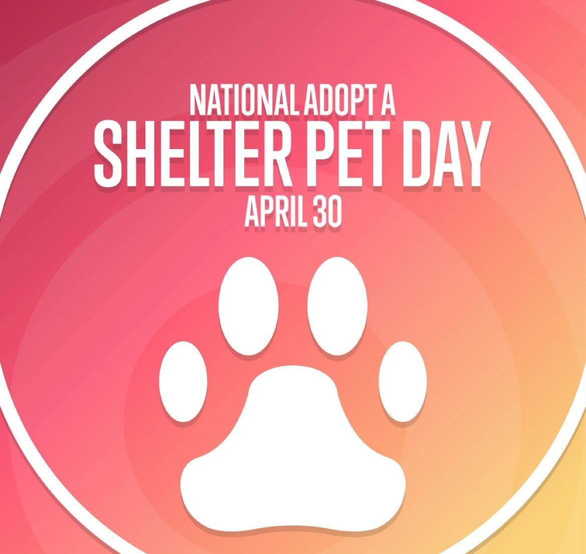 National Adopt a shelter pet day! 🐶🐱Bring your new furry family member and receive a FREE BAG OF FOOD plus 10% OFF your entire purchase TODAY!! #bonezandpawz #supportsmallbusiness #giveback #nationaladoptashelterpetday #cat #dog #newtampa #adopt #a