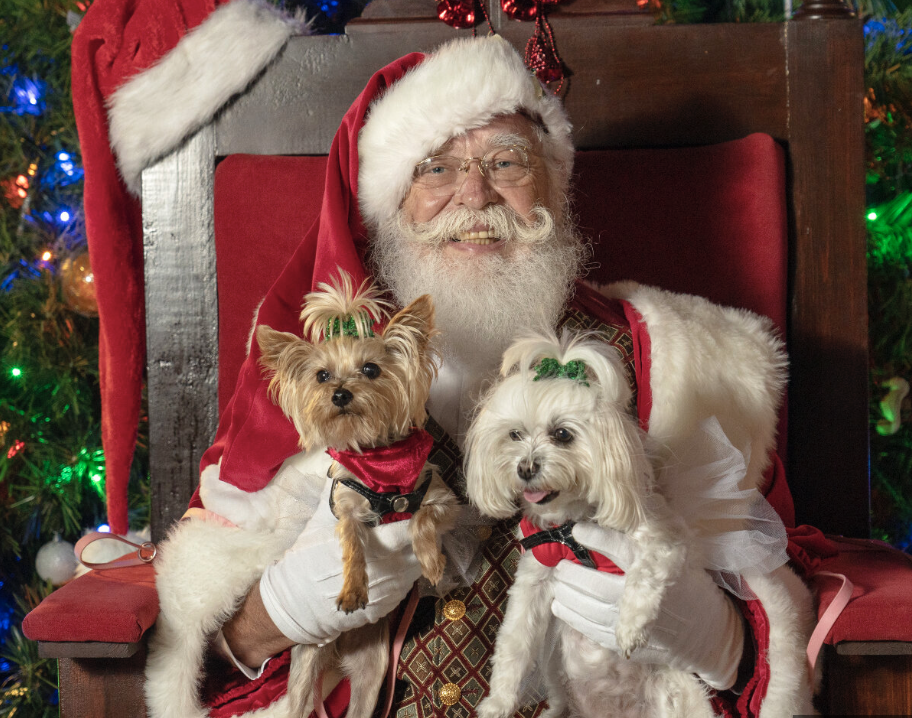 Santa Pawz Is coming!  Day 2