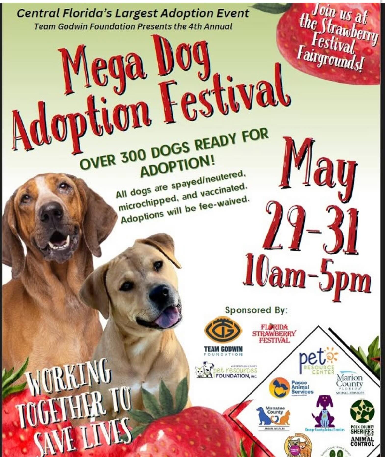 🚨 Calling all dog lovers! 🚨
The Mega Dog Adoption Festival is happening starting TODAY May 29&ndash;31 at the Florida Strawberry Festival Fairgrounds in Plant City! 🍓🐶
🐾 300+ adoptable dogs
🐾 Adoption fees waived
🐾 Dogs are vaccinated, microch