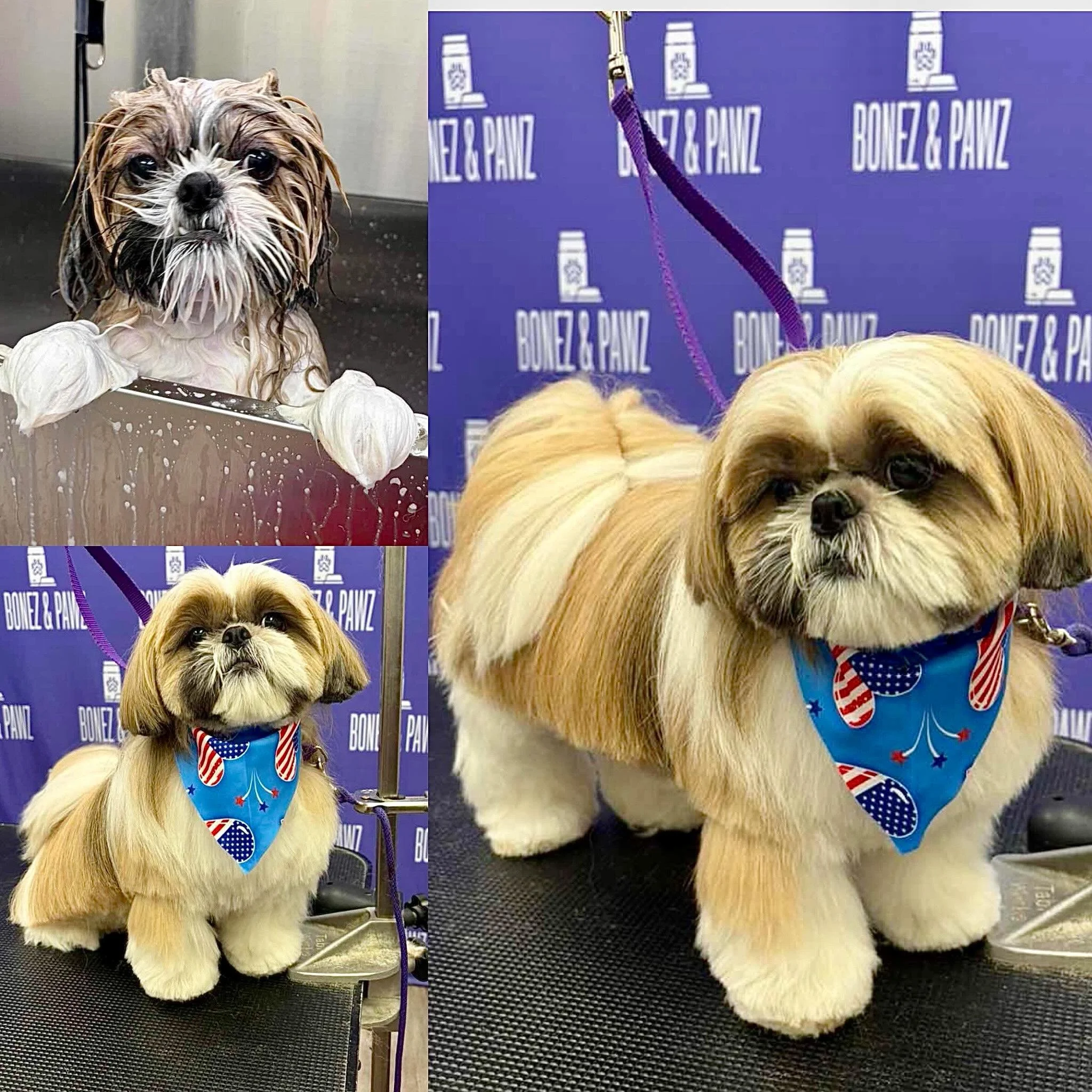 🐾 Baths were taken. Fur was fluffed. Tails were wagged. ✨
Check out some of this week&rsquo;s handsome and beautiful pups! From makeover magic to big happy smiles, these cuties are ready for the weekend. ❤️🐶
#doggrooming #freshandfluffy #happydogs 