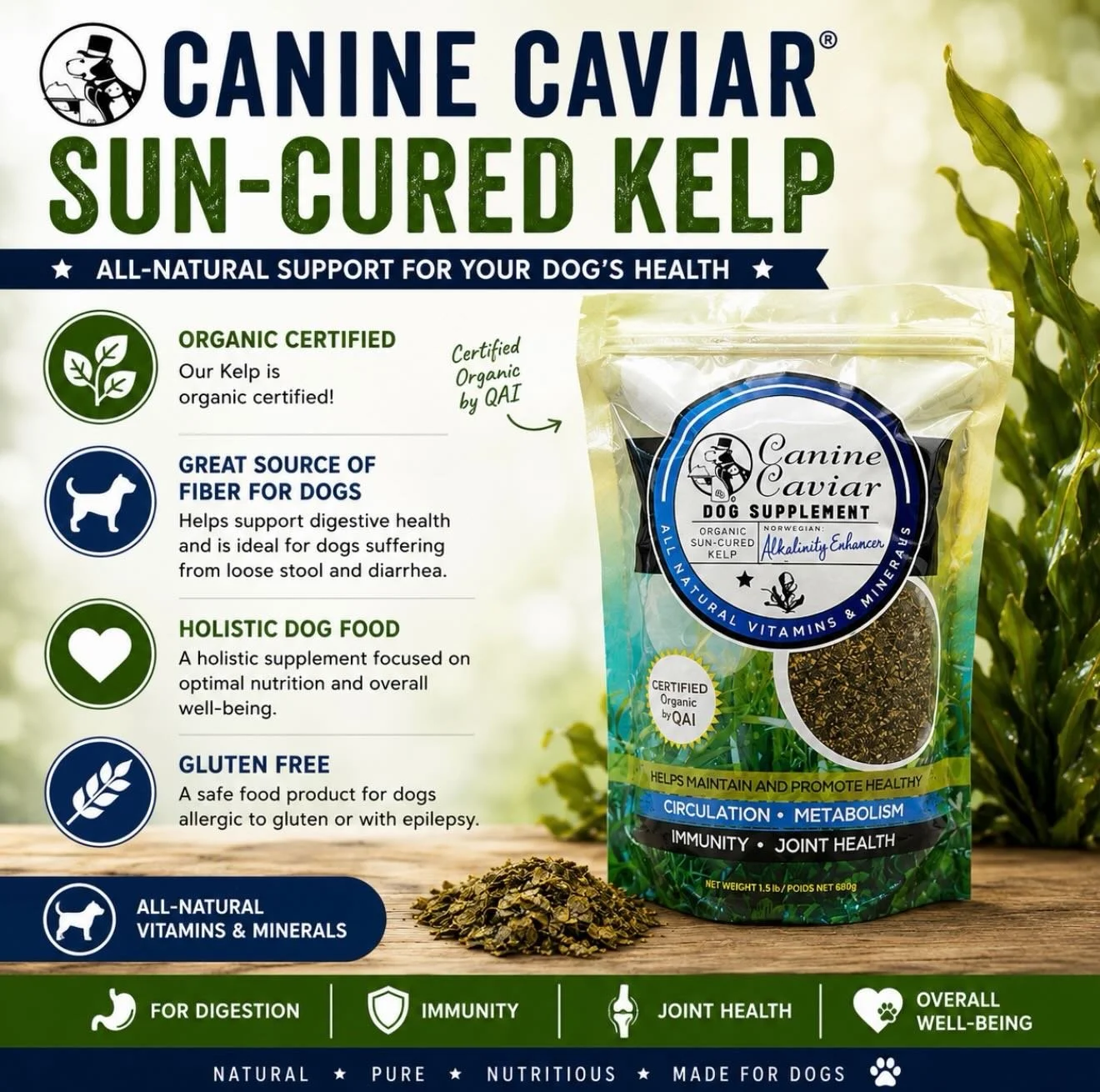 🌿 Give your dog the natural benefits of Canine Caviar Sun-Cured Kelp! 🐾
Help support your dog&rsquo;s overall wellness, immunity, and joint health&mdash;naturally. 💙💚 #doghealth #holisticnutrition #naturaldogfood #kelp #dogsofinstagram