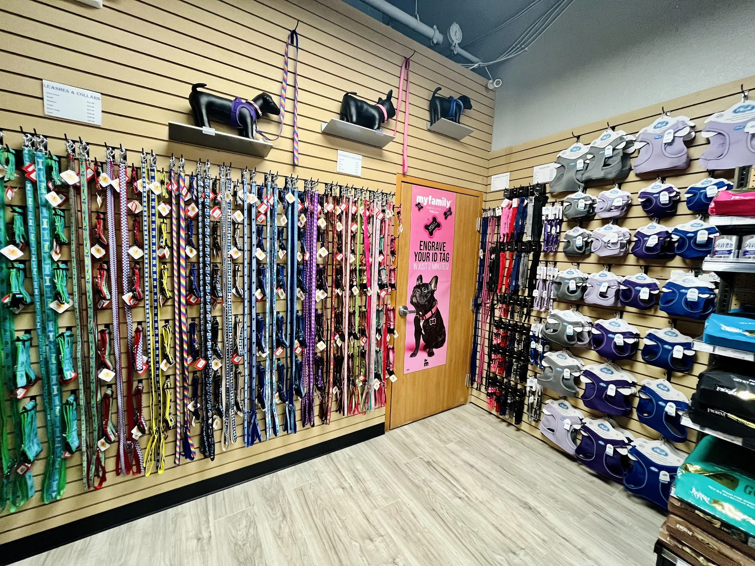 Dog collars and harnesses displayed on wall shelves and hooks in a pet store, with a pink sign on a door advertising custom ID tags.
