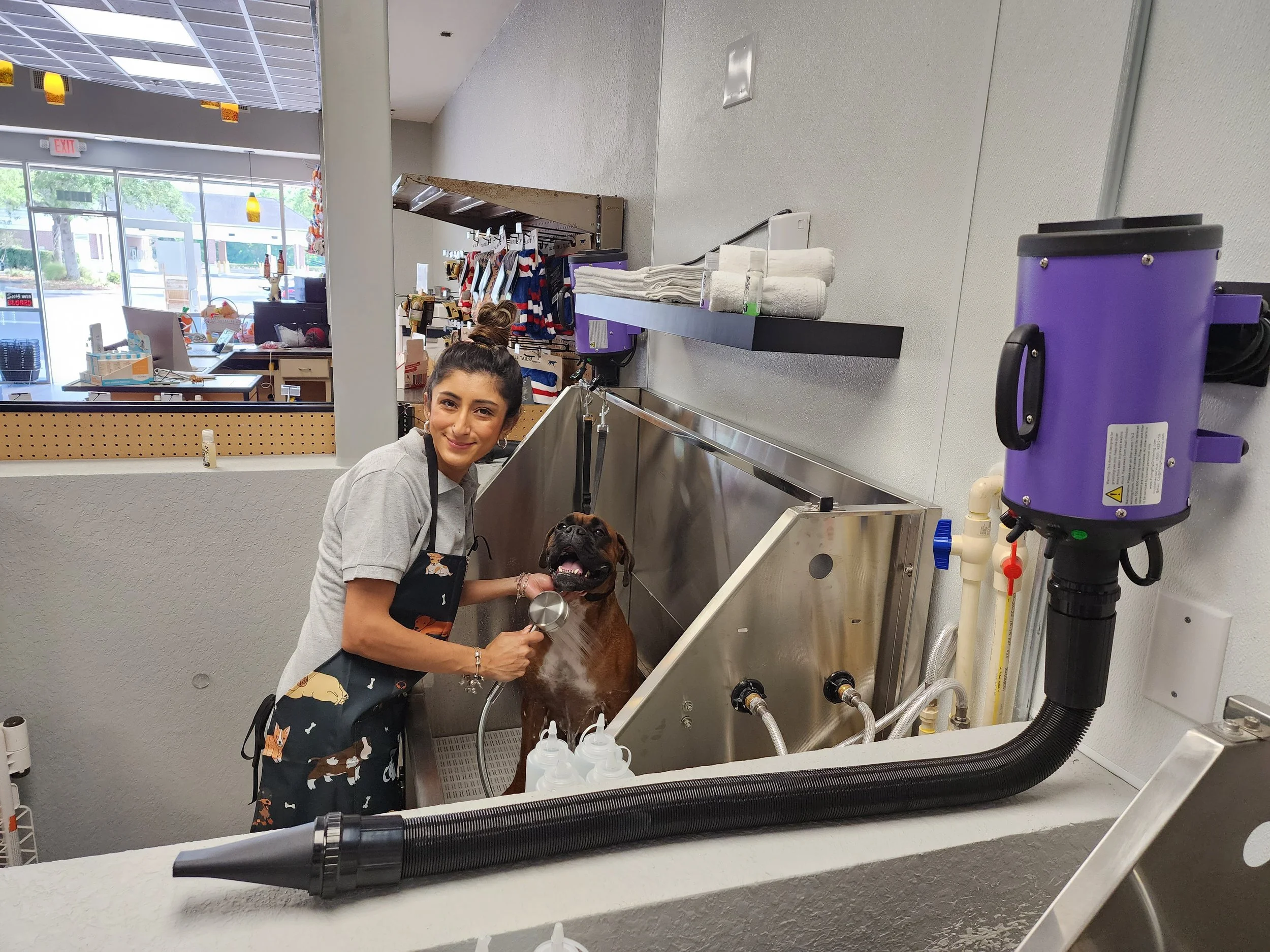 A woman giving a dog a bath inside a grooming station at a pet store.