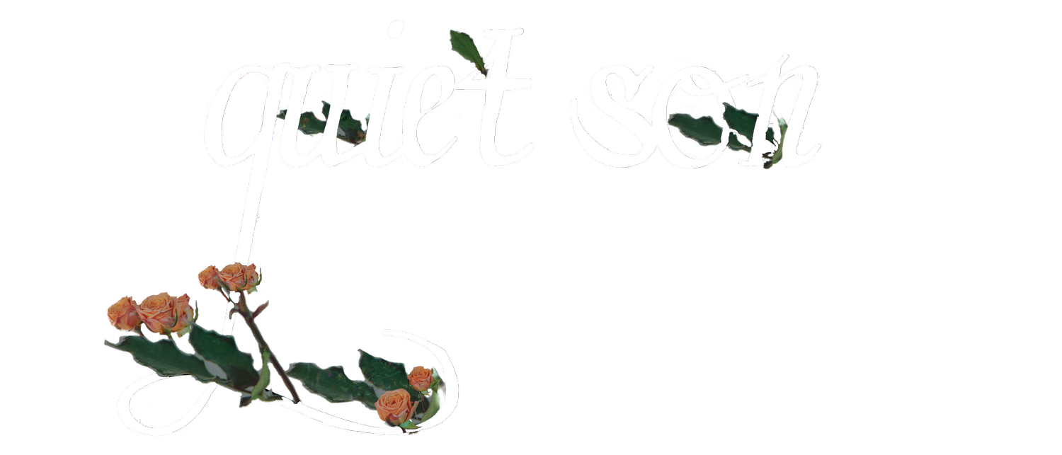Quiet Son