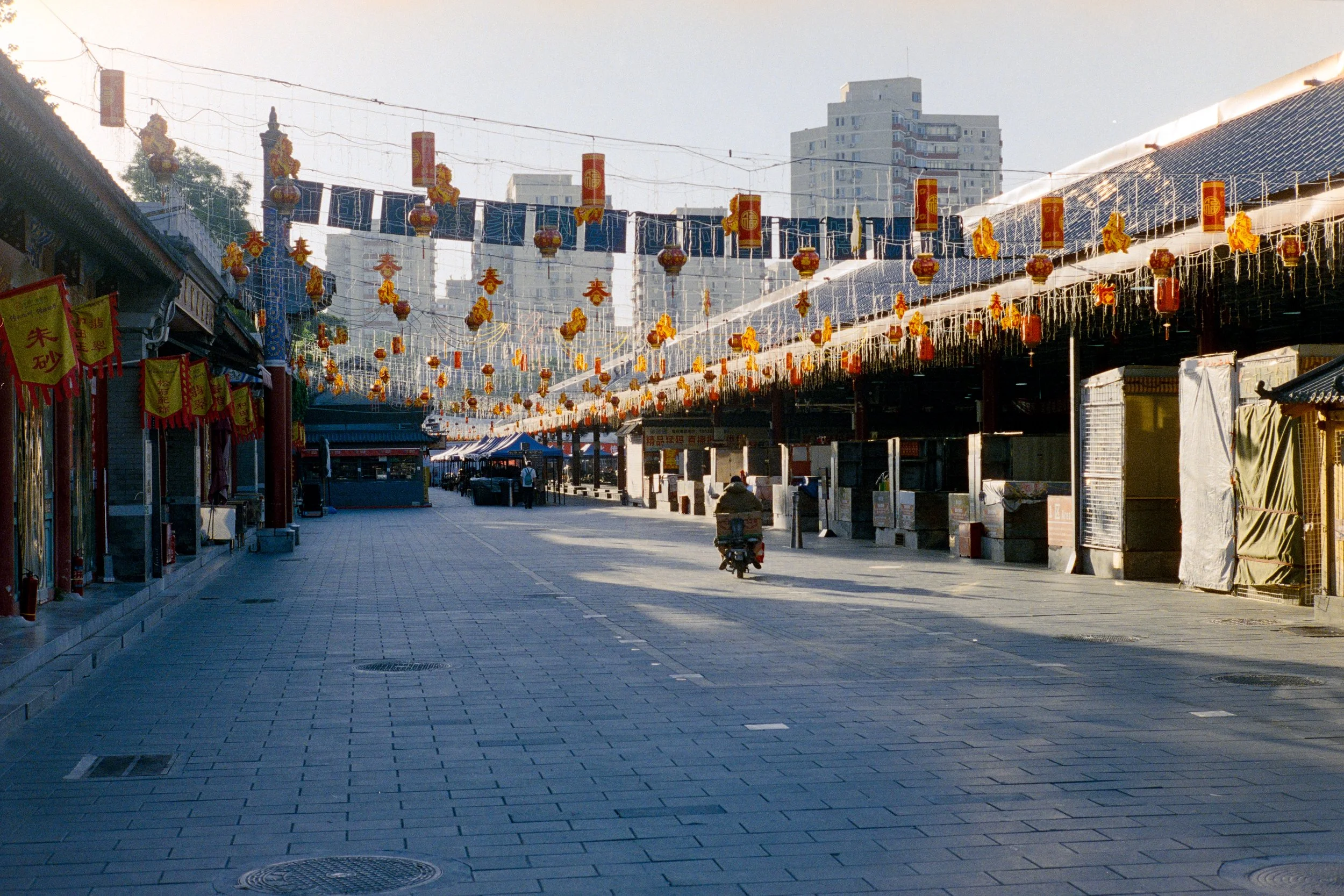 Leica MP|Portra 800