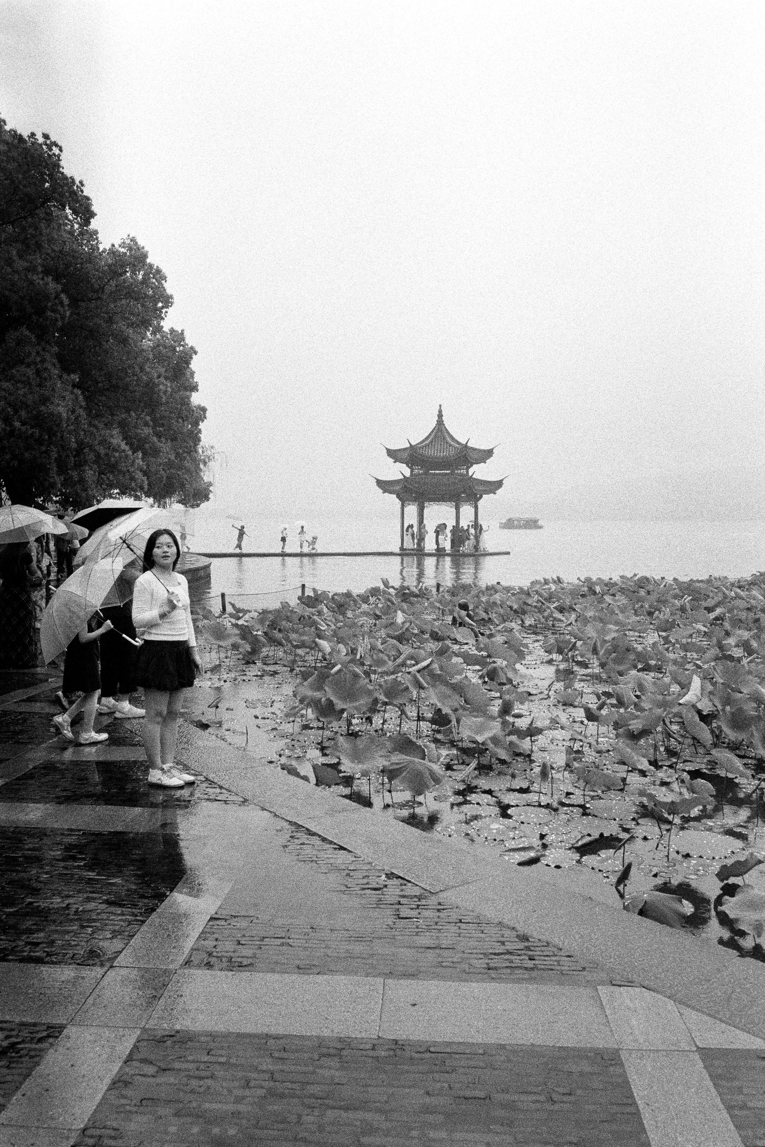 Leica MP|Kentmere 400 +2