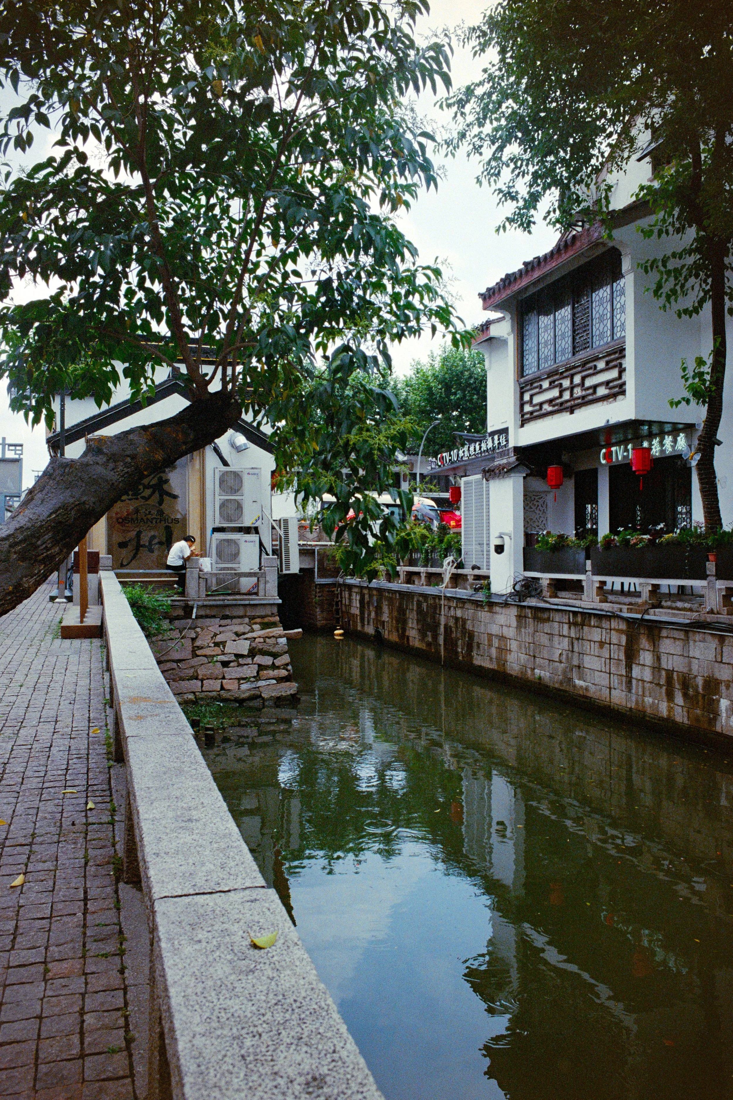 Leica MP|Superia 400
