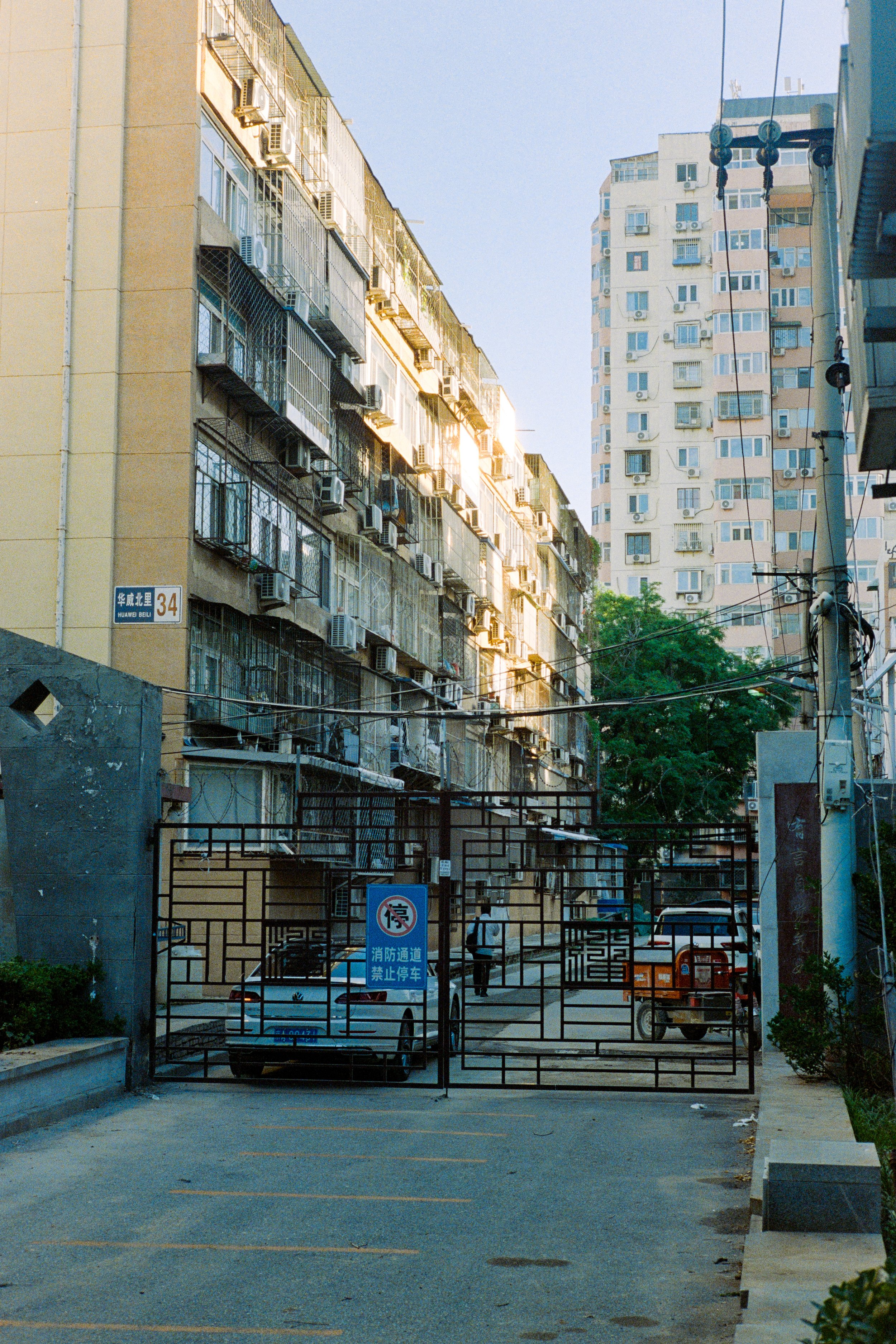Leica MP|Portra 800