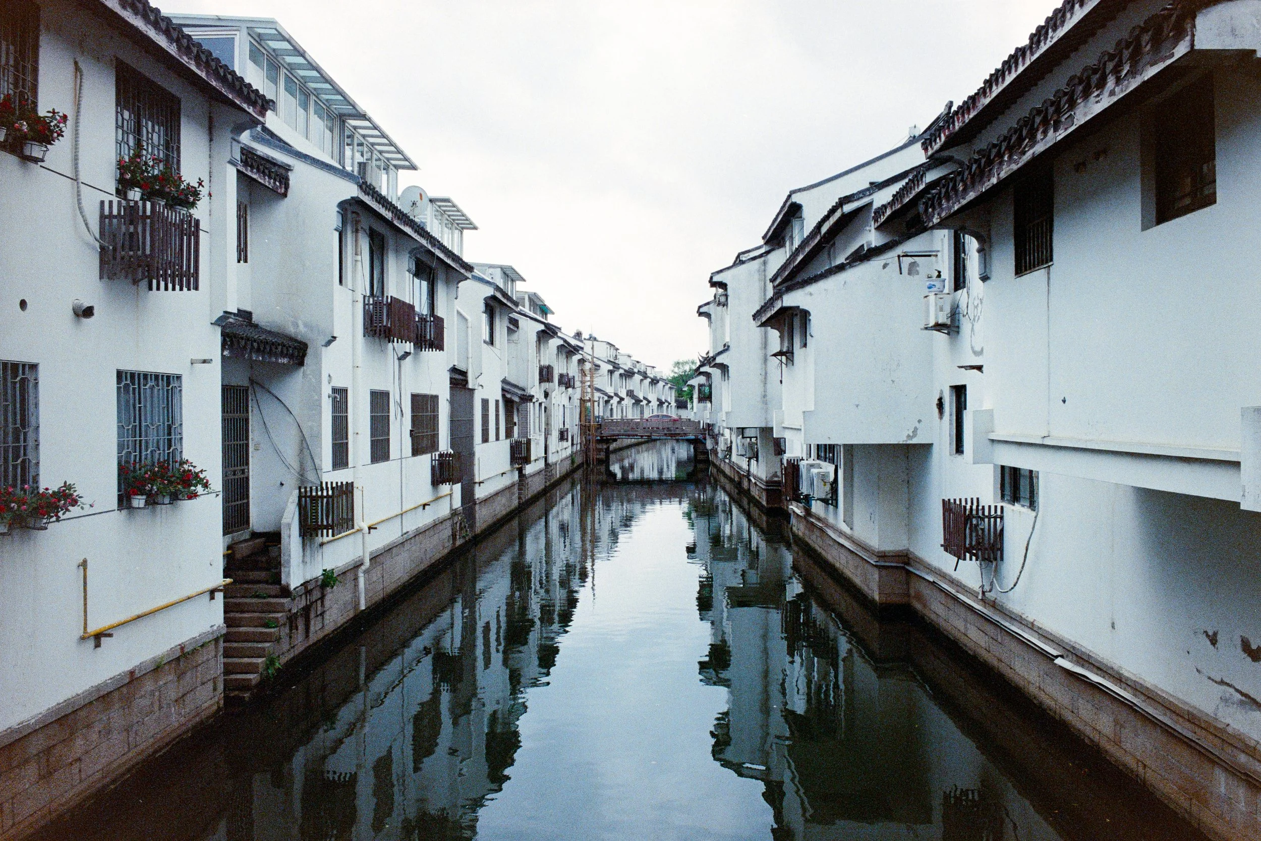 Leica MP|Superia 400