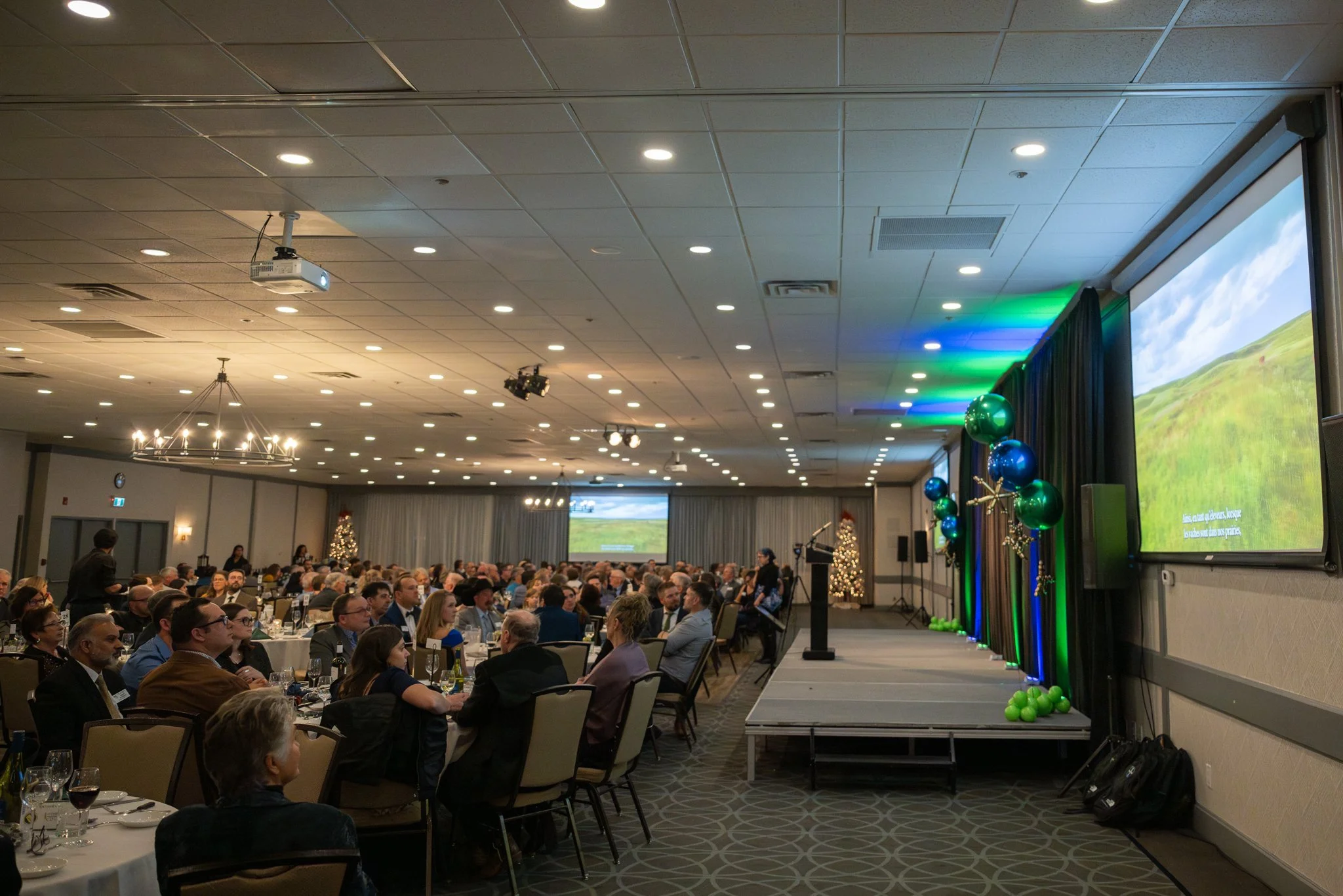 A large conference room filled with seated attendees, a stage with a podium, Christmas decorations, and large screens displaying a landscape scene with grasses and a blue sky.