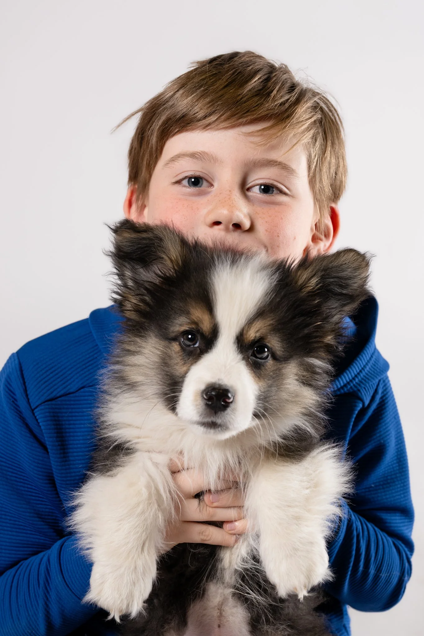 A young boy with light brown hair and blue eyes holding a black, white, and tan puppy in front of a plain white background.