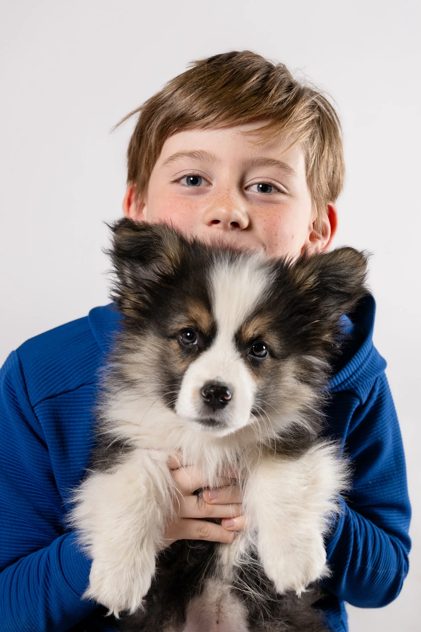 A young boy with light brown hair and freckles wearing a blue hoodie, holding a fluffy black, white, and tan puppy with blue eyes close to his face, both looking at the camera.