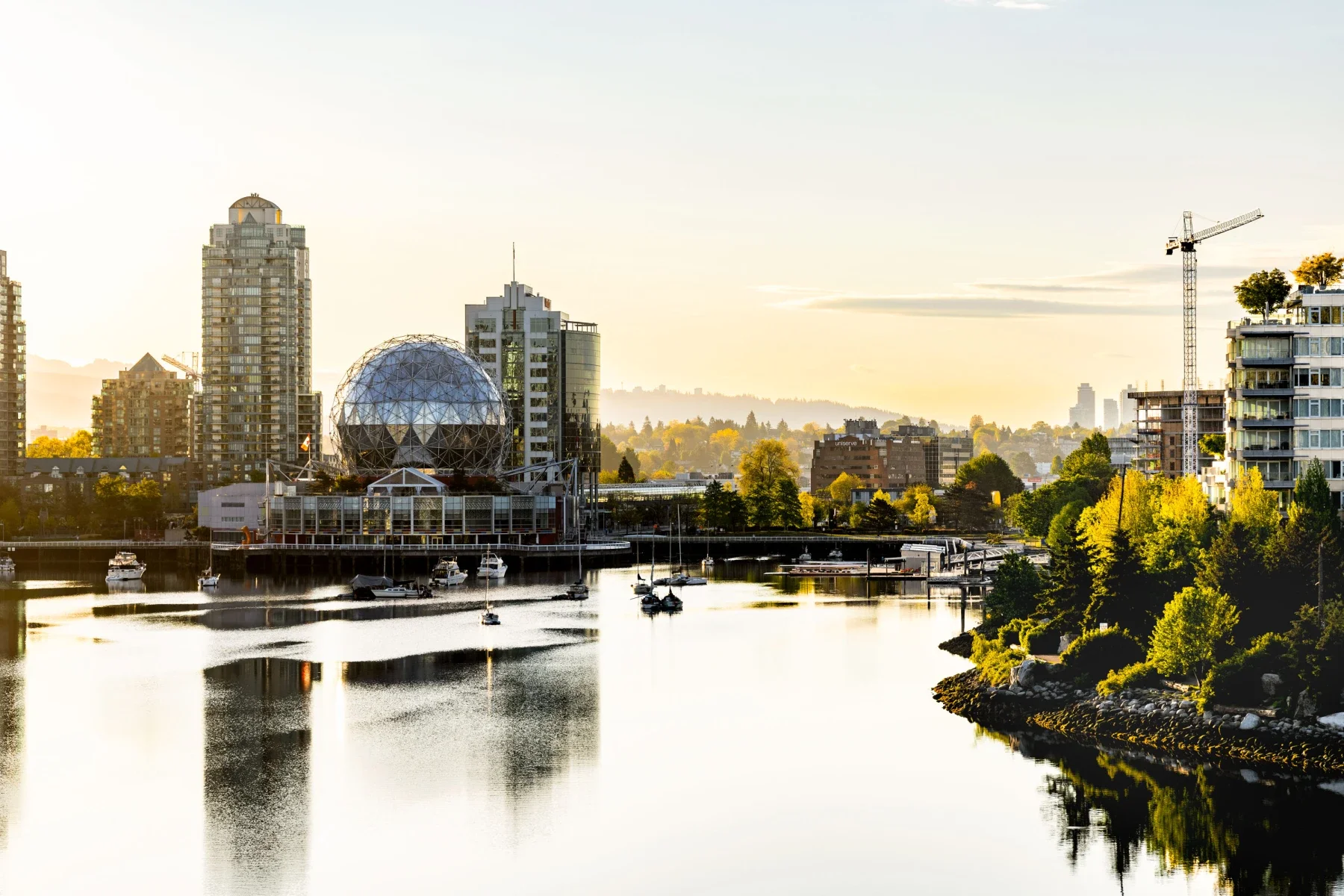 4 Days in Vancouver: A Forested Brewery, a Bikeable Seawall, and Indigenous-Led Talks with Trees