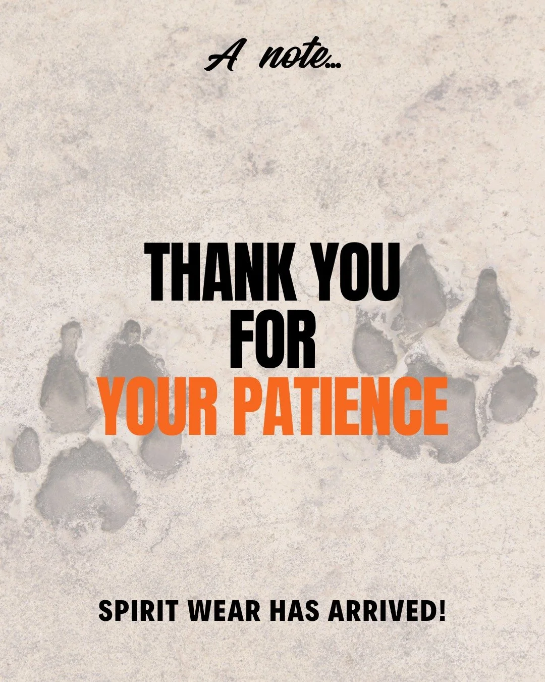 Spirit wear is in! Thank you so much for your patience. This was a big order, and we hustled to get everything out before Joechella (1-5pm on Saturday, hope to see you there!).

Please take a moment to double-check your items, and if there&rsquo;s an