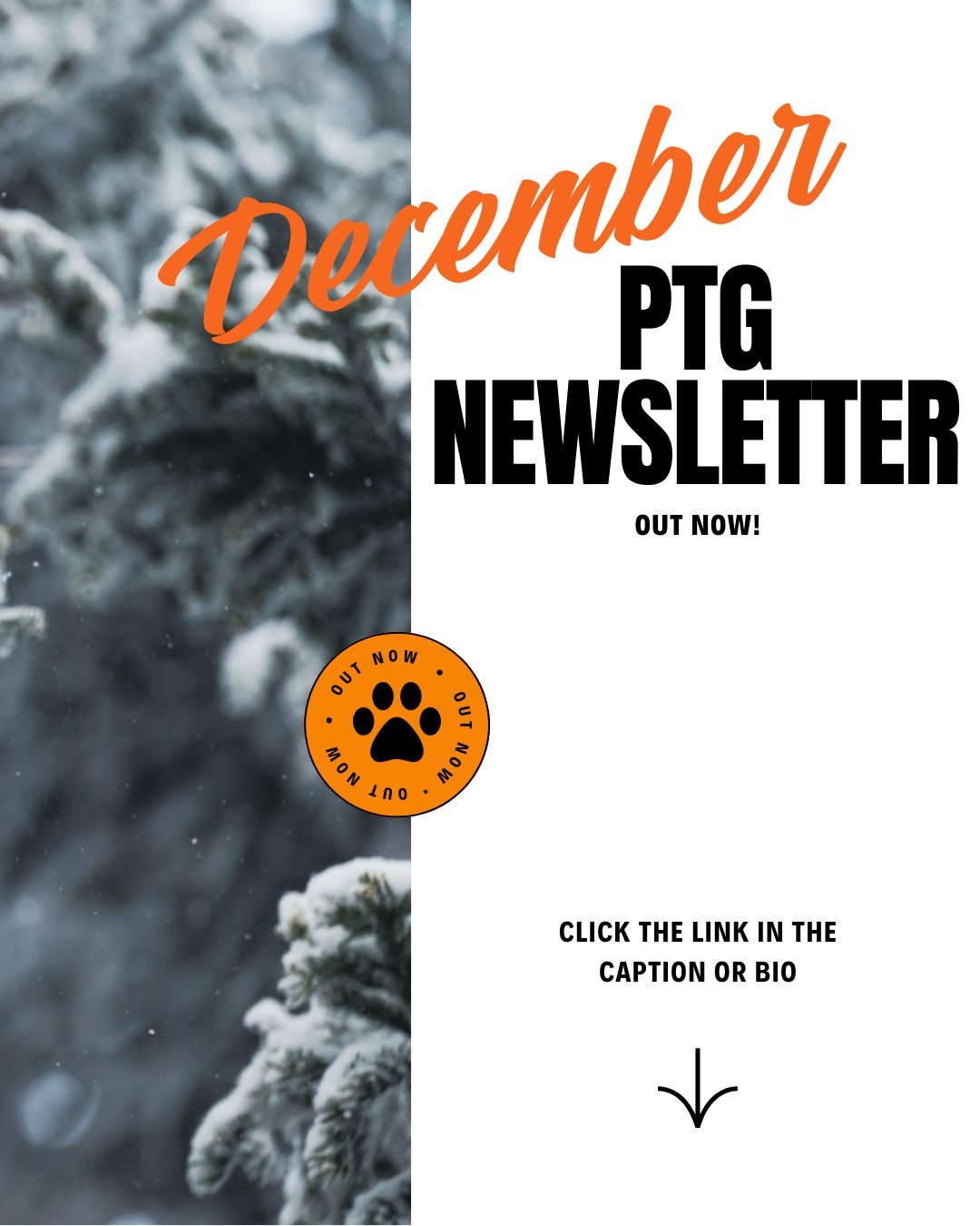 If you haven't checked our December newsletter out yet, now's the time. You'll find details about tonight's Book Fair and Movie Night, plus an important reminder to get your volunteer clearance completed ASAP if you plan on volunteering or chaperonin