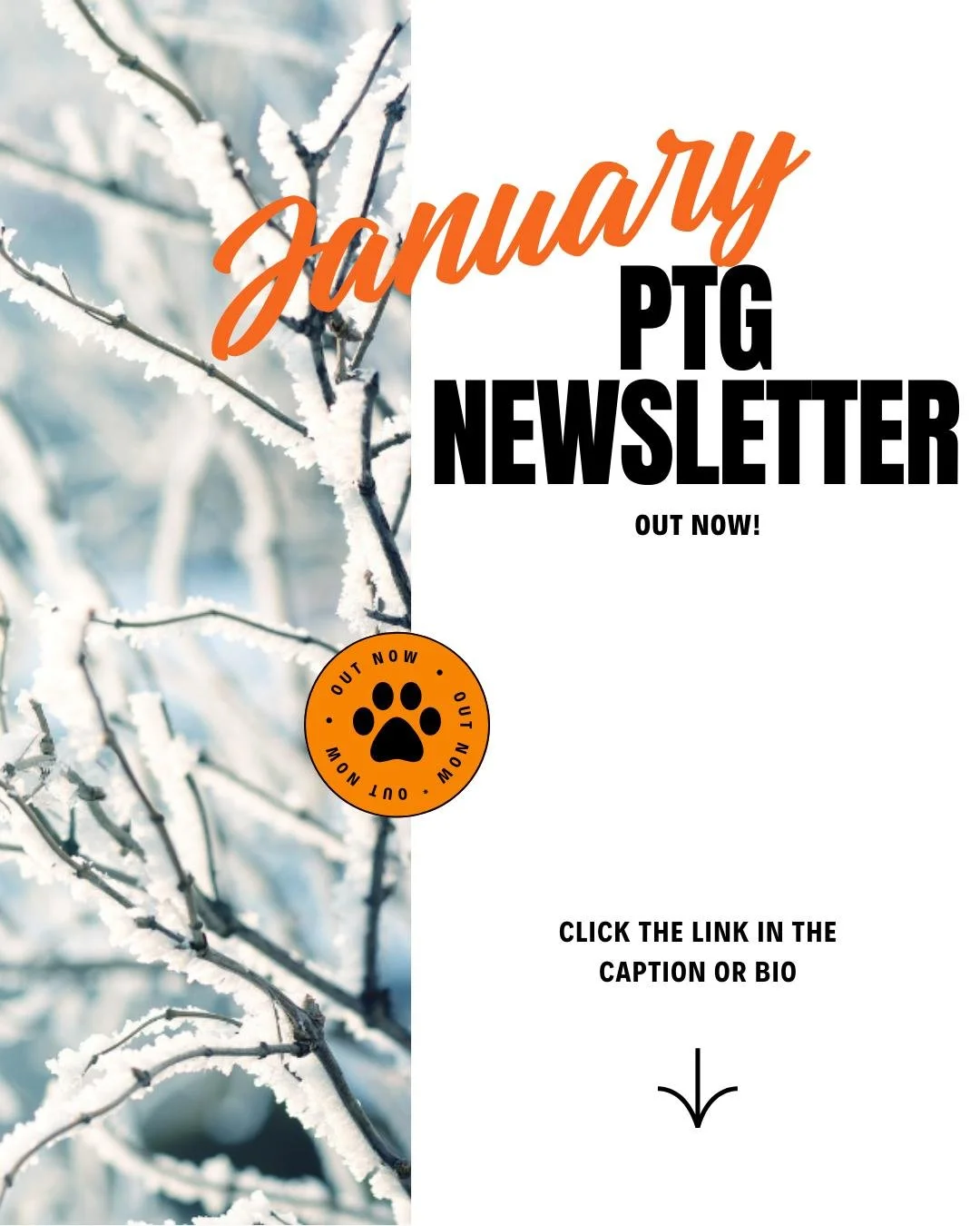 The January PTG Newsletter is out! Catch up on upcoming events and see what we&rsquo;ve been up to. Don&rsquo;t forget, this week is our coin drive to support the library! Keep an eye out for spare change and help us turn coins into books. Link in bi