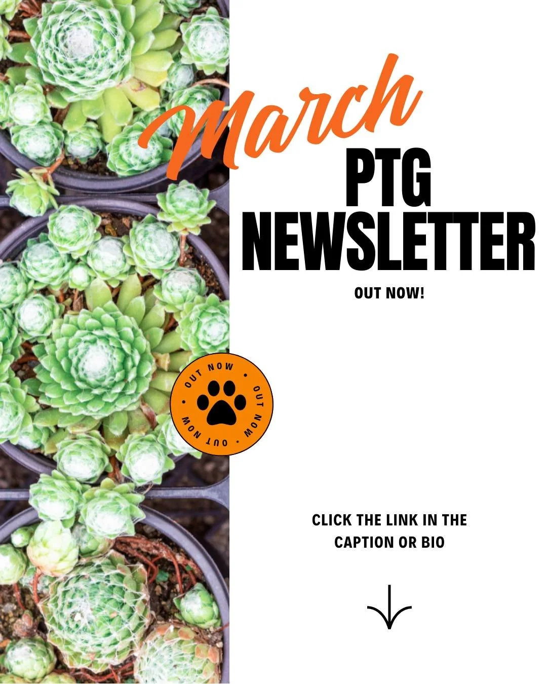 The March edition of our newsletter is out and packed with information about our upcoming events such as Literacy Night (tonight!), Hounds Day Out, and International Art Night.

Additionally, we're looking for a few awesome humans to join next year's