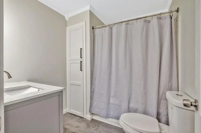 Bathroom with a sink, a cabinet, a toilet, and a shower with a curtain.