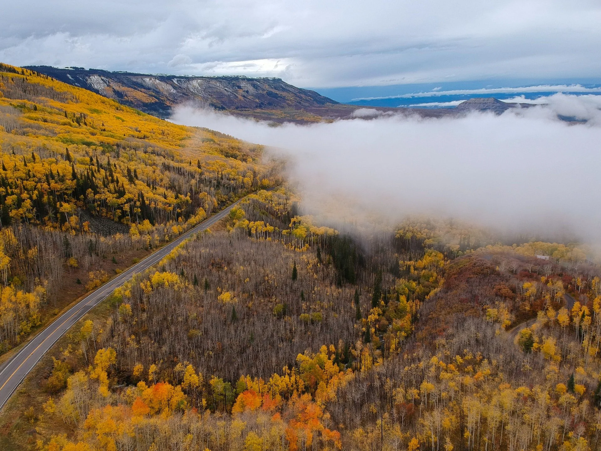 Colorado Road Autumn.jpg