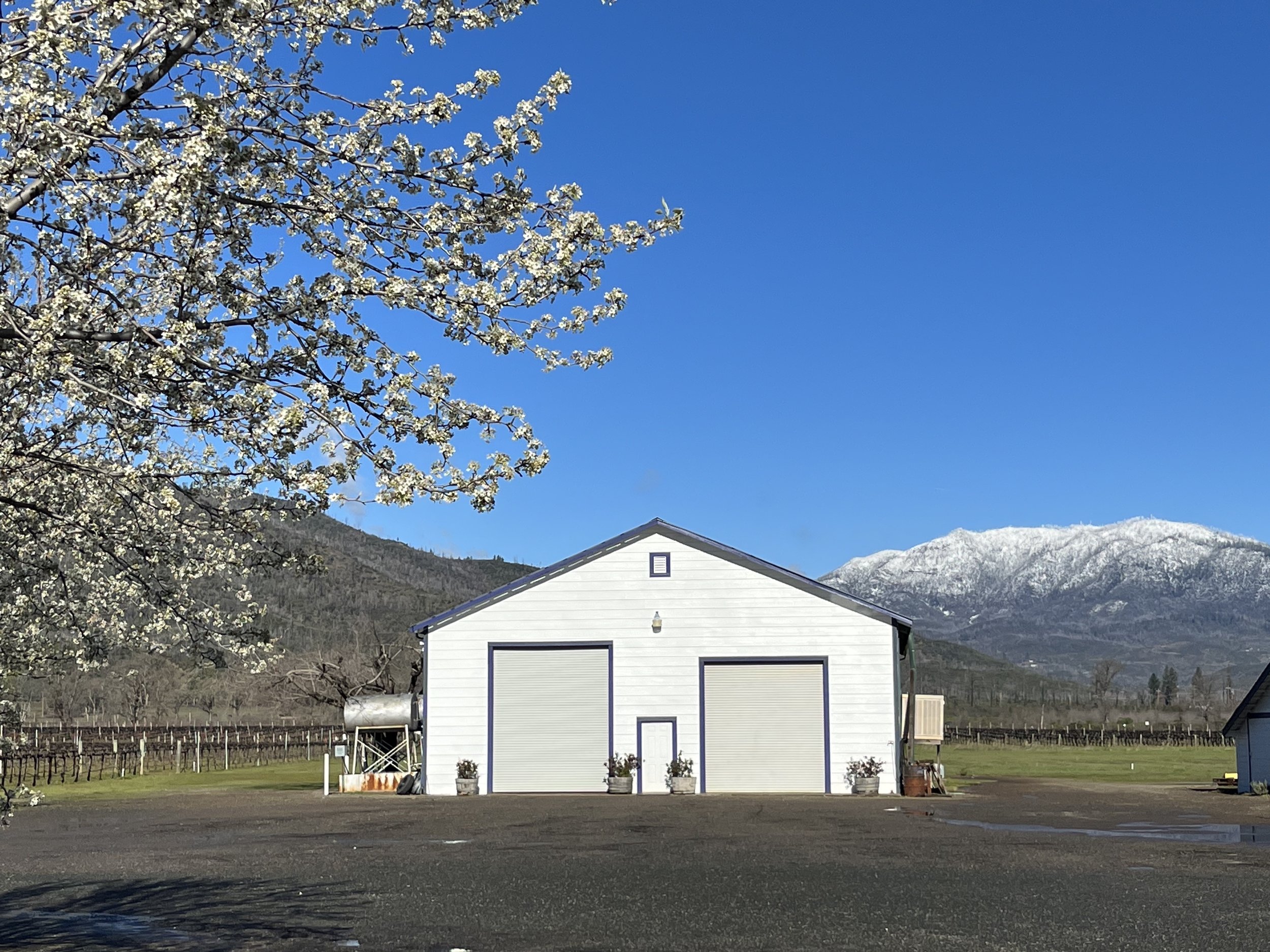 winery-snowyMtCobb.jpg