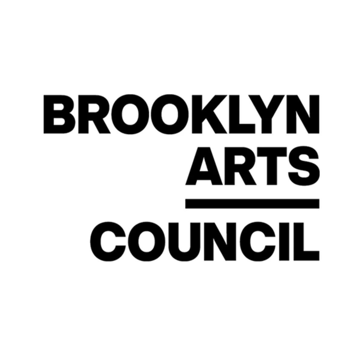 Black text reading 'Brooklyn Arts Council' on a white background, with the word 'Arts' highlighted by a line underneath.