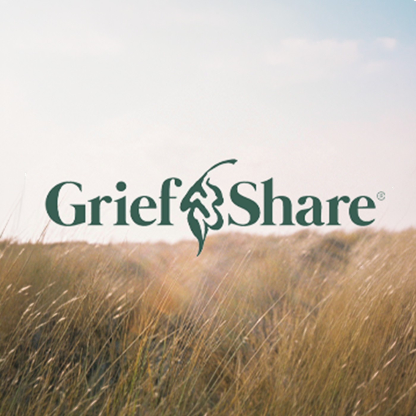 GriefShare logo over a golden field at sunset.