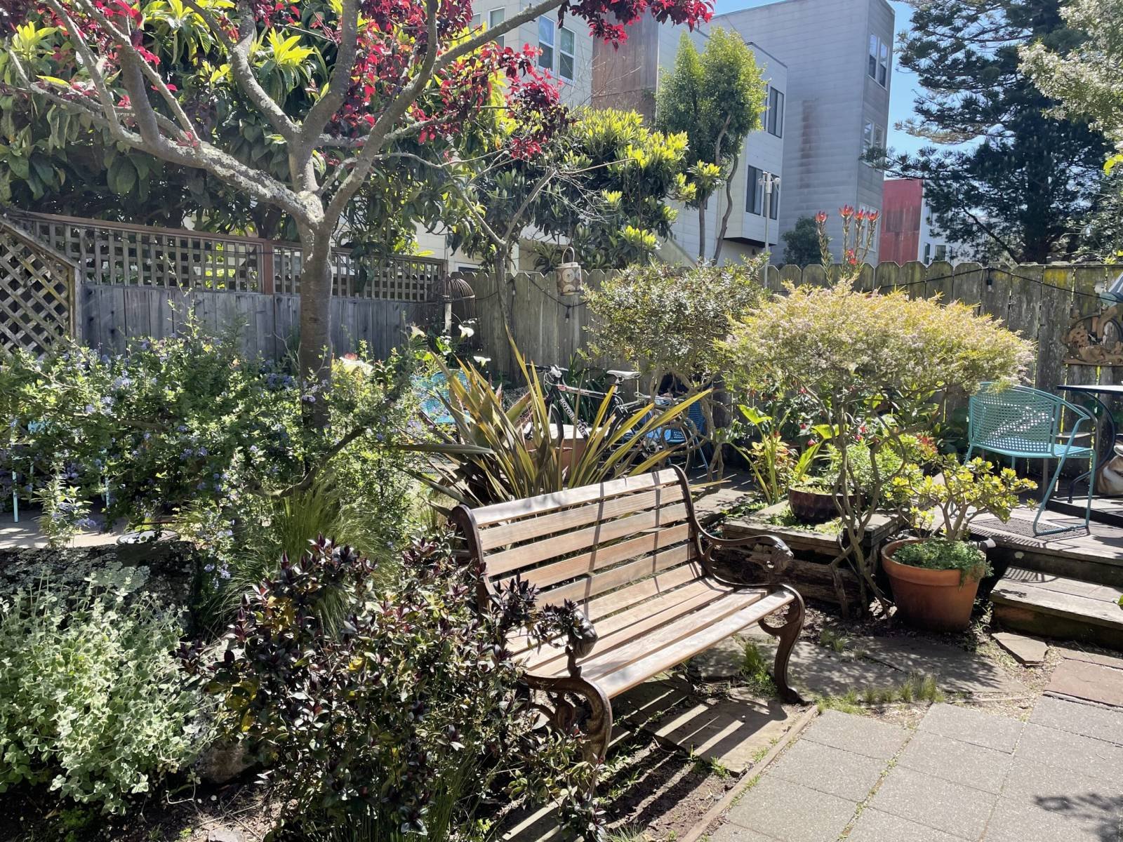 Bazaar Café SF with Christopher Alexander