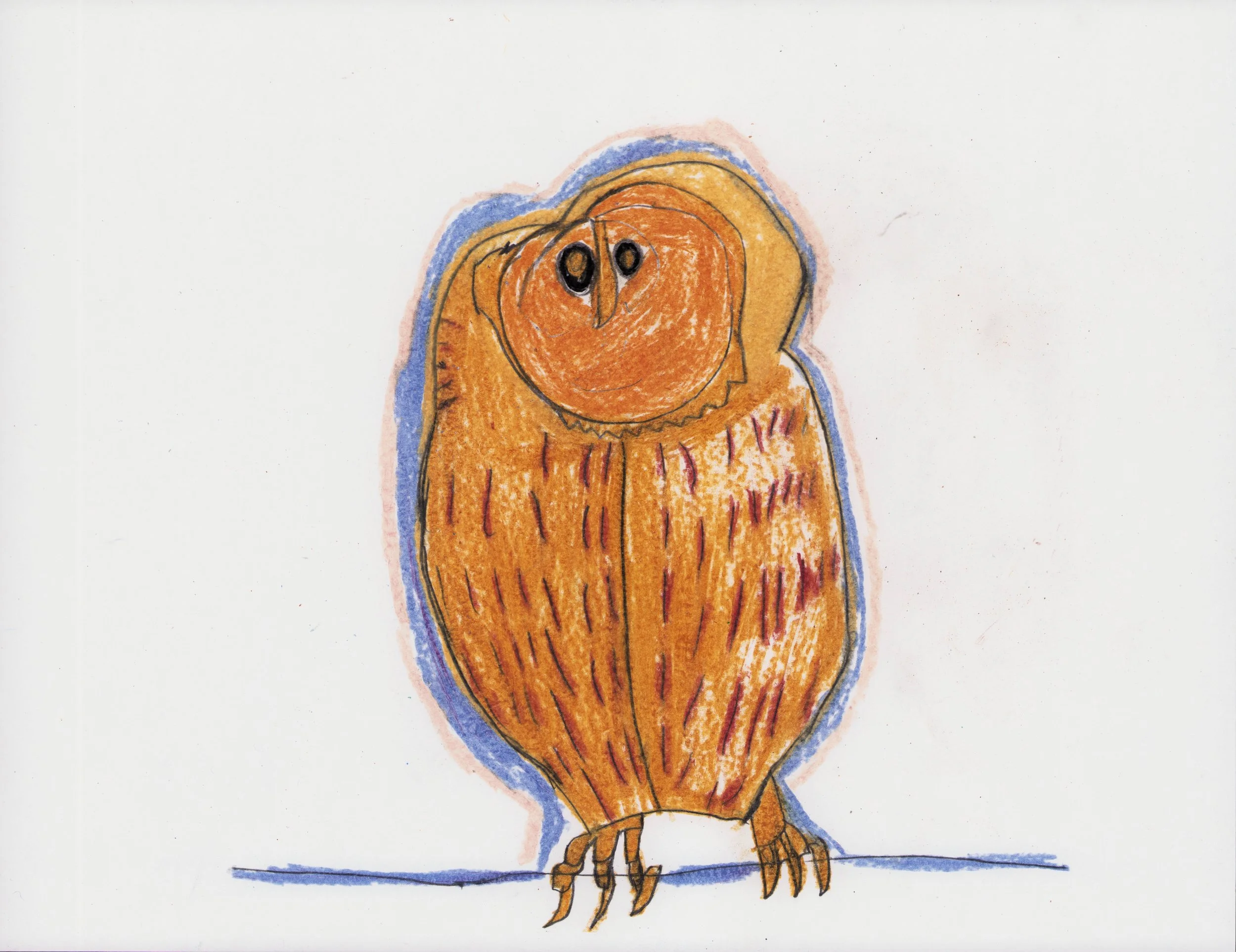 Untitled (Owl)