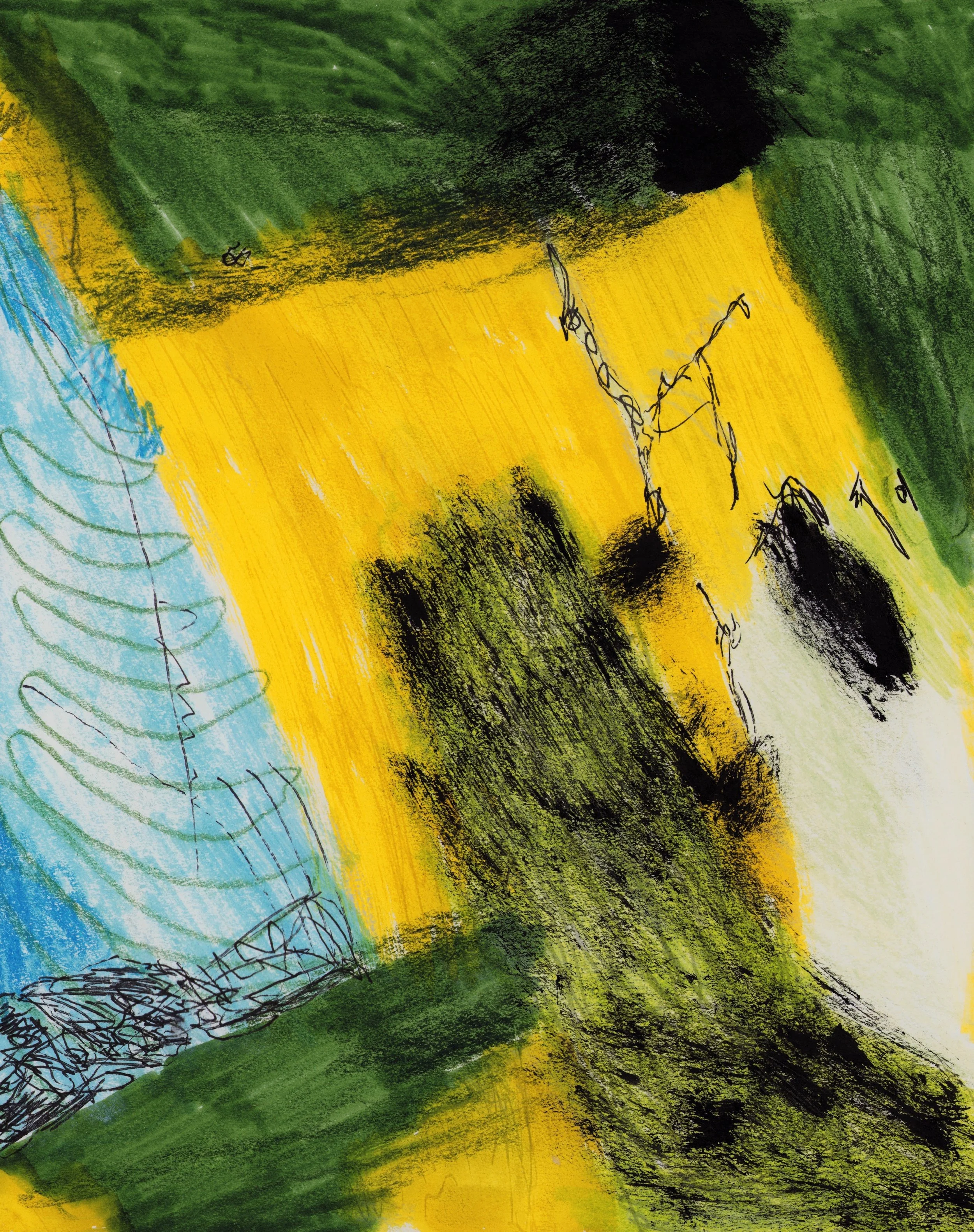 EMStinging Bug bit the fox.jpeg