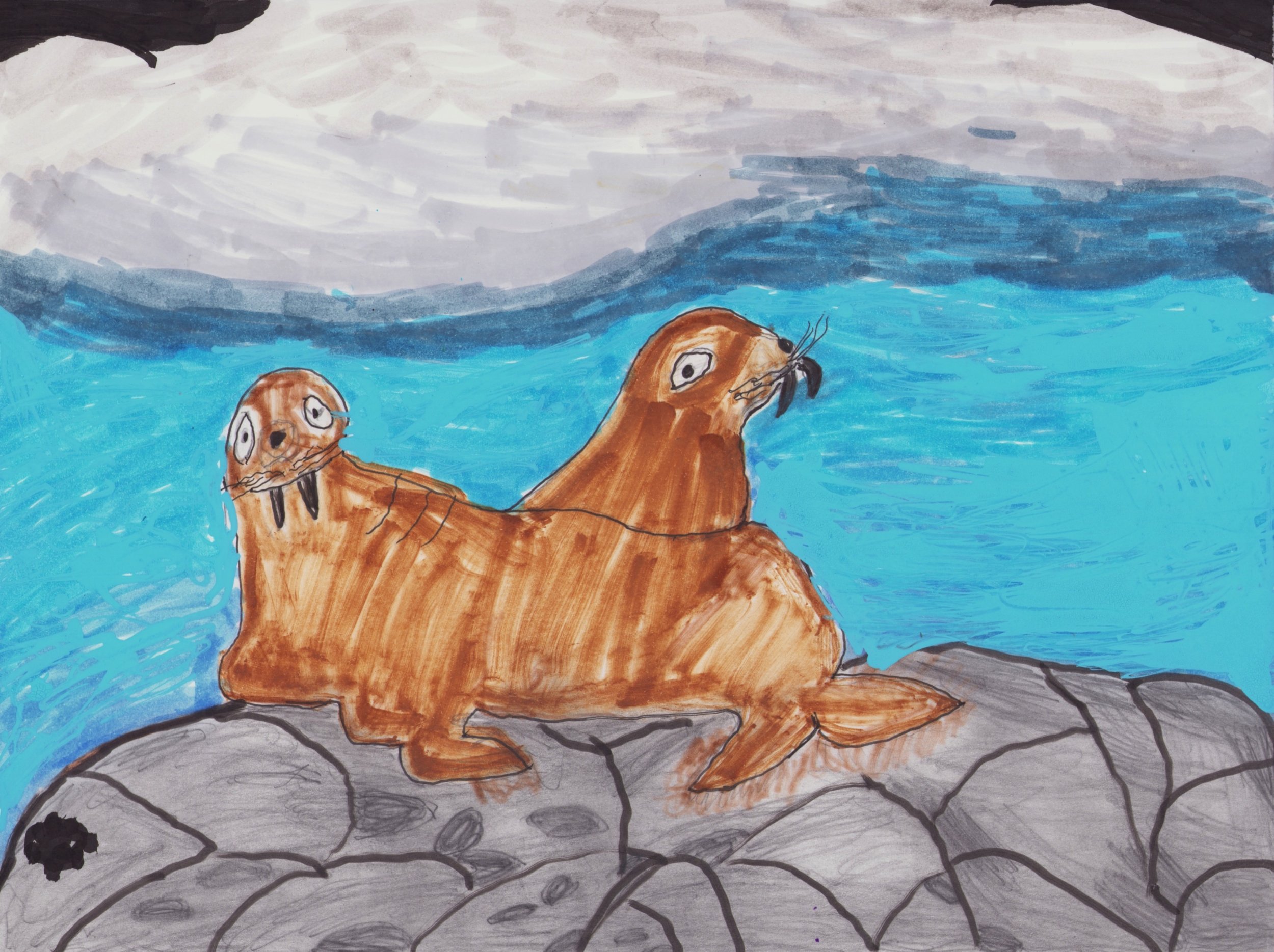 The Sea Lion Brothers