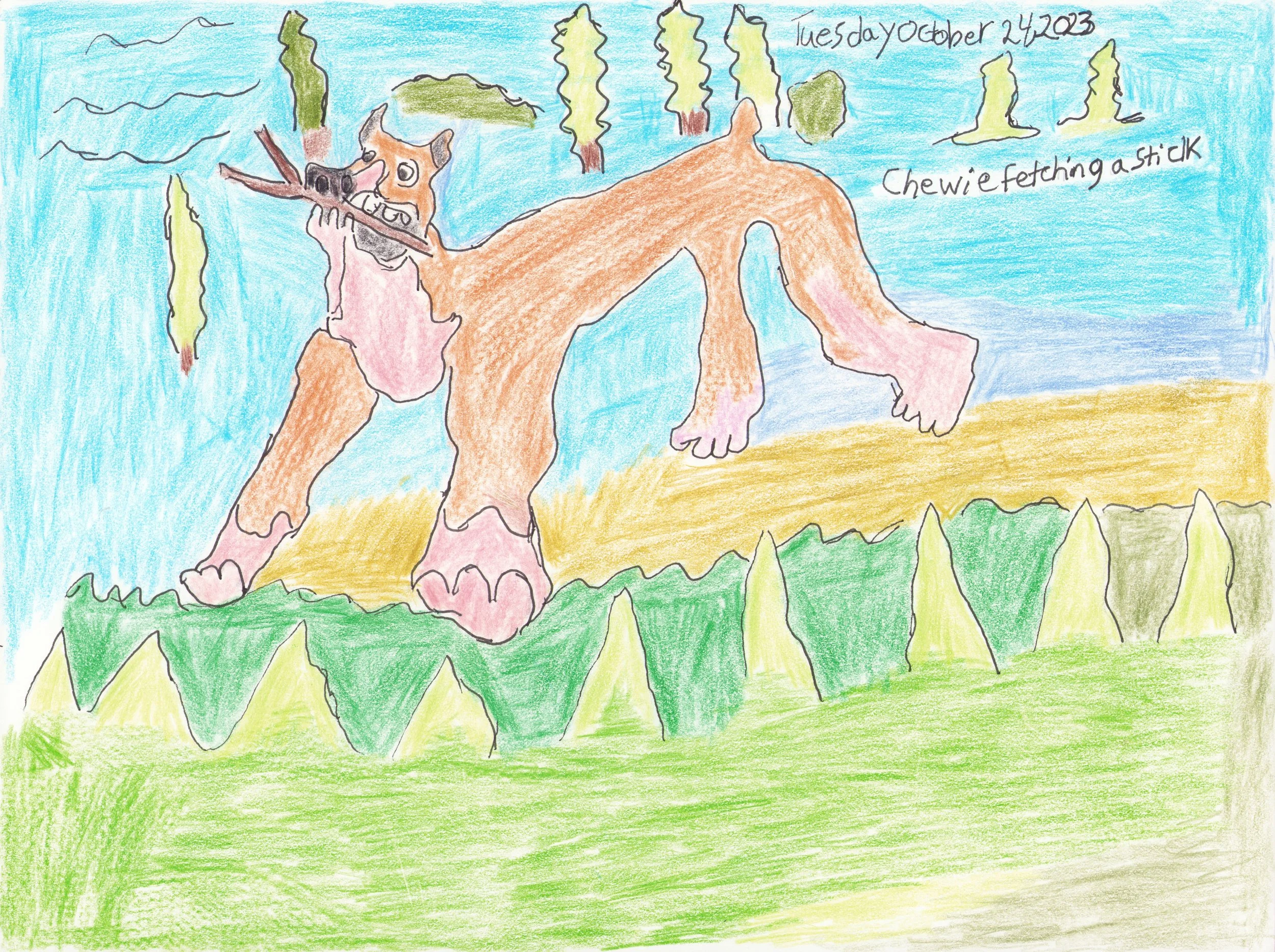 "Chewie Fetching a Stick"