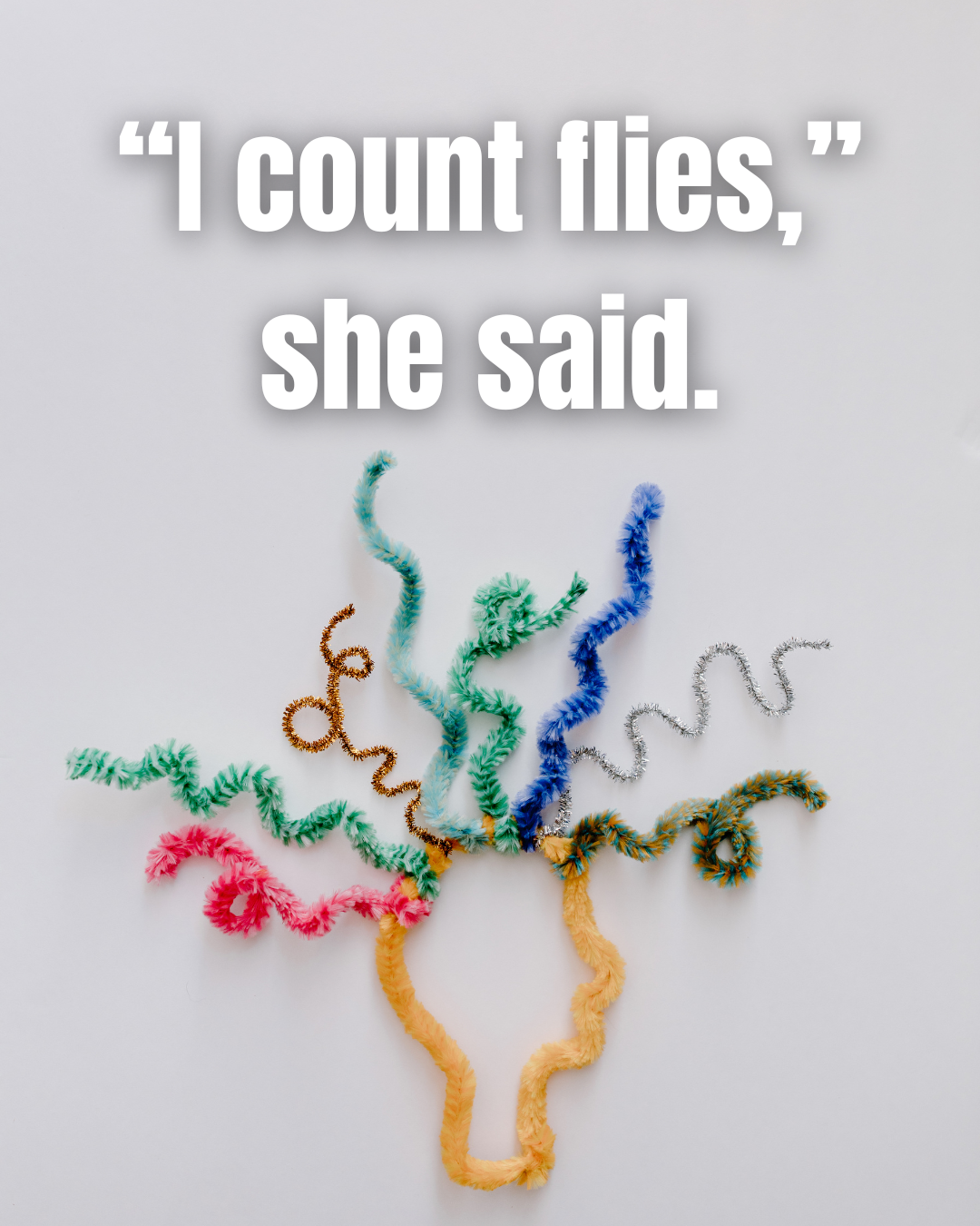 “I count flies,” she said.