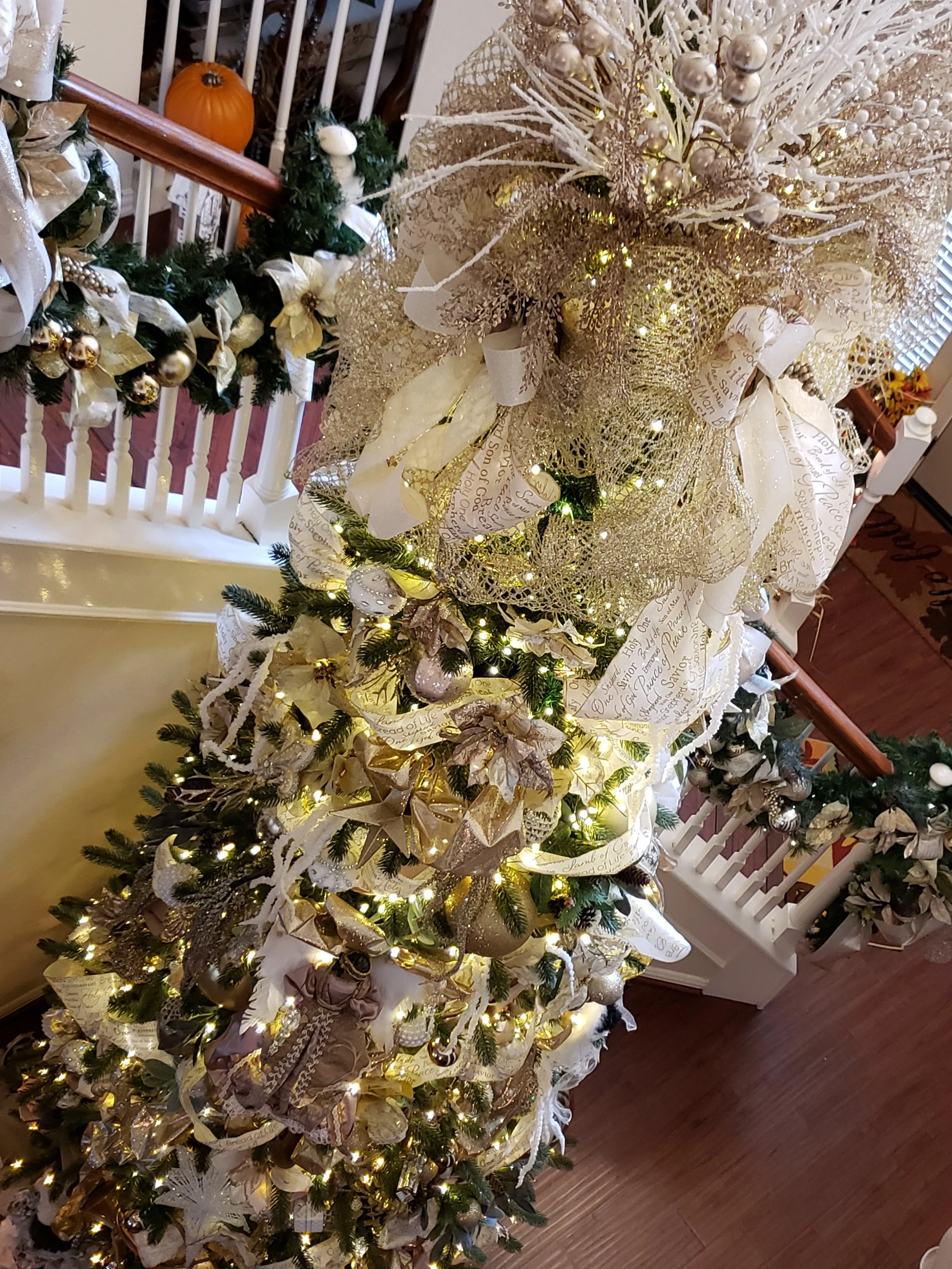 top view gold tree.jpg