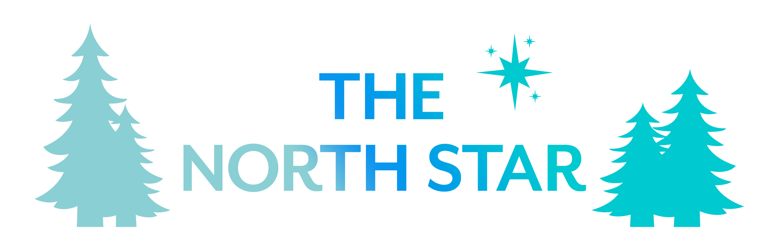 Logo featuring the text 'THE NORTH STAR' in gradient blue with stylized pine trees on each side and a star above the text.
