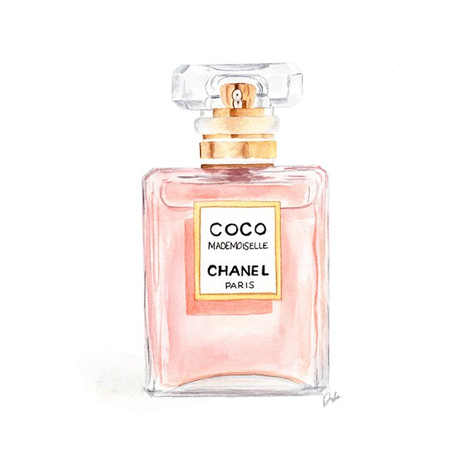 Chanel Coco Perfume Illustration