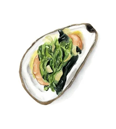 Rockefeller Oyster Illustration