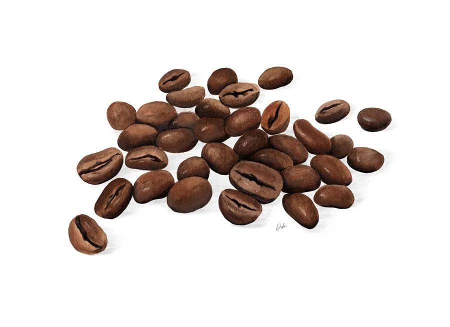 Coffee Beans Illustration