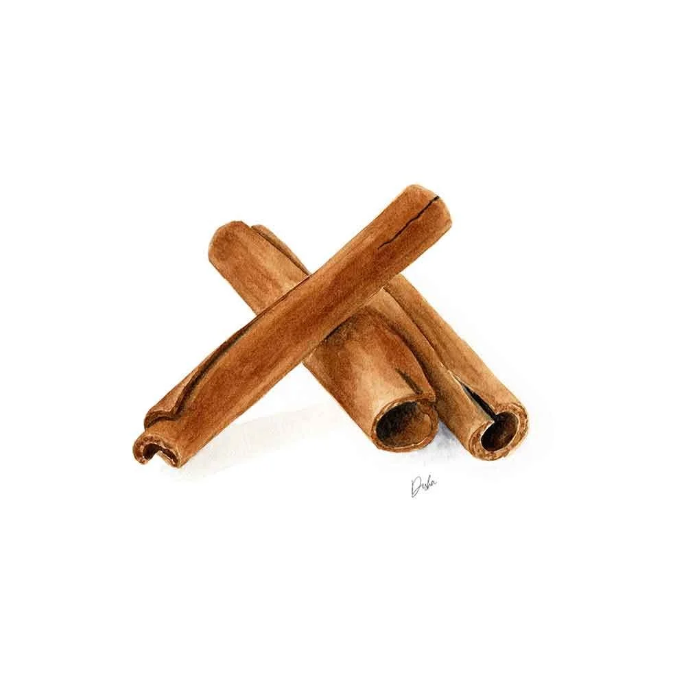 Cinnamon Illustration